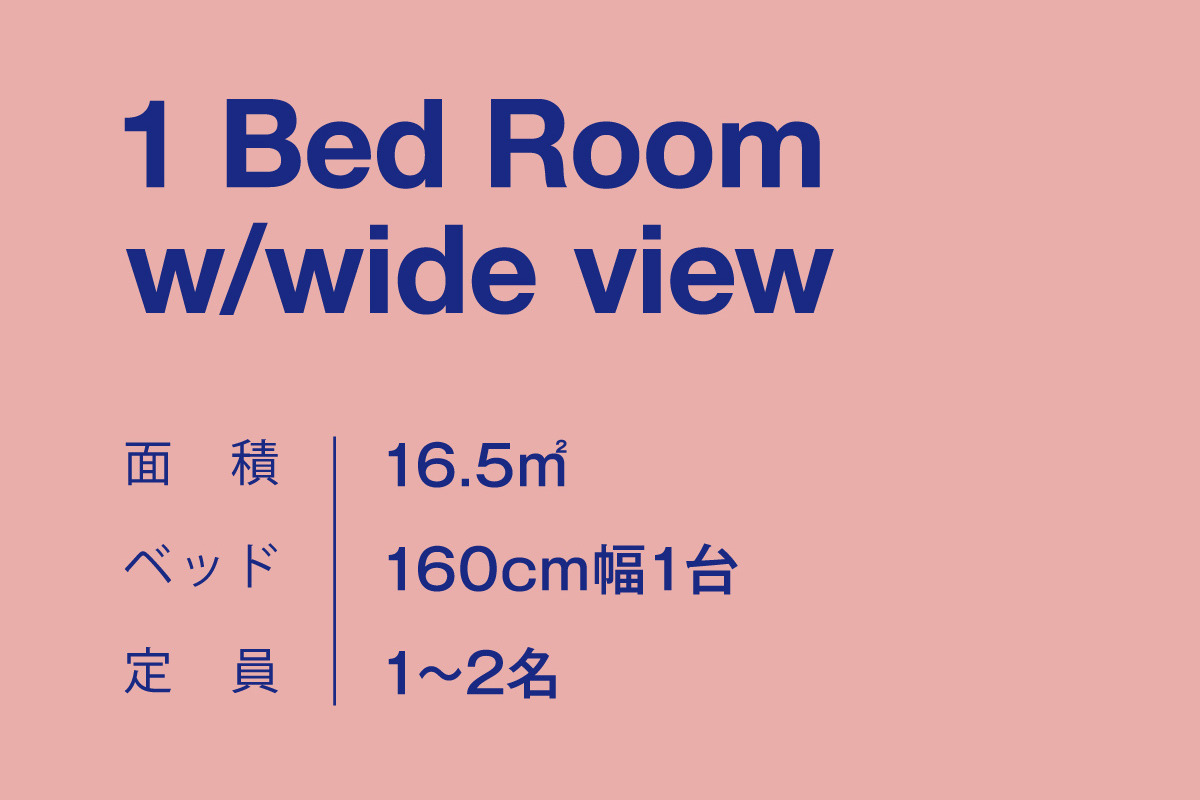 1 Bed Room w/wide view