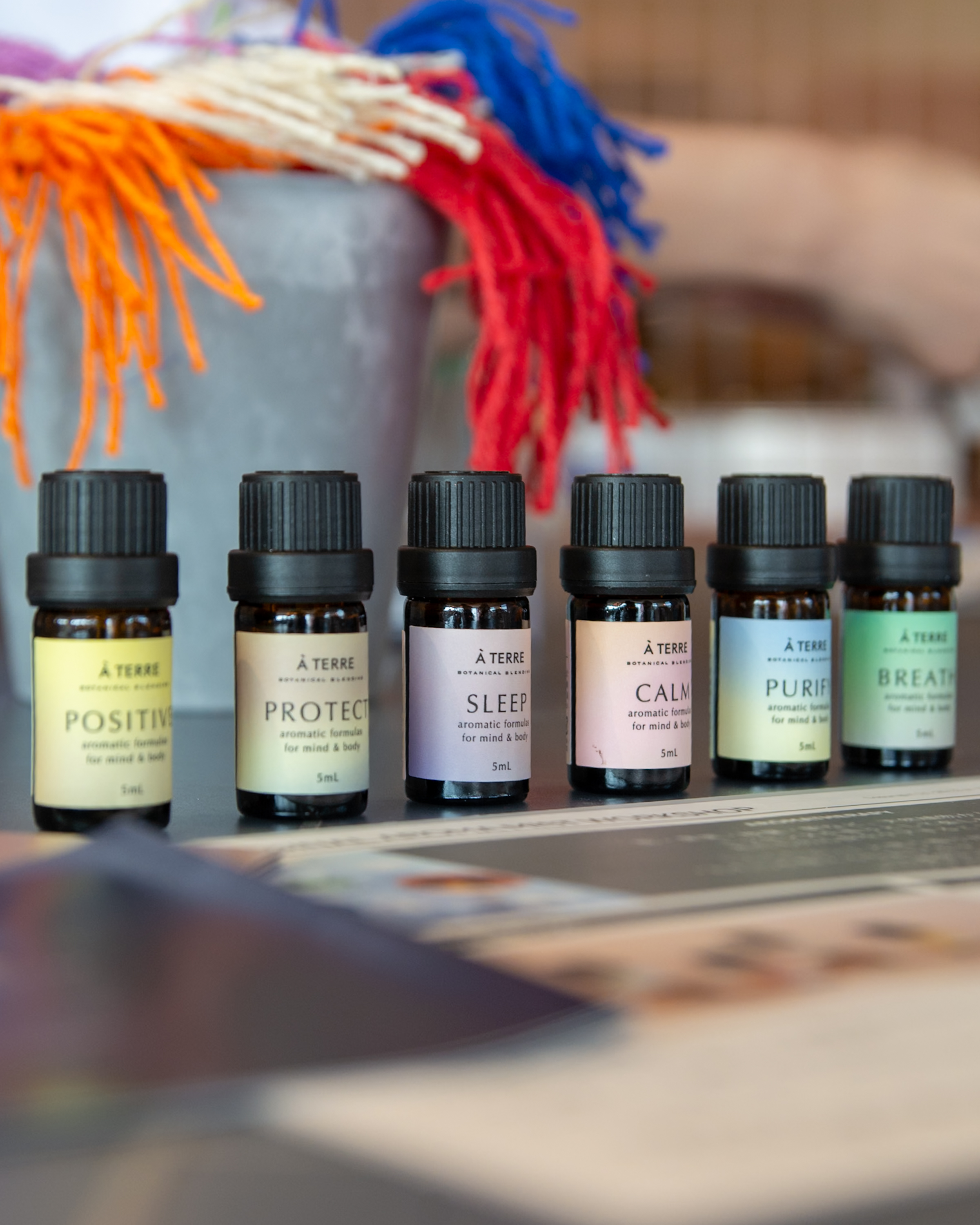 【日替わりワークショップ・16時～17時】