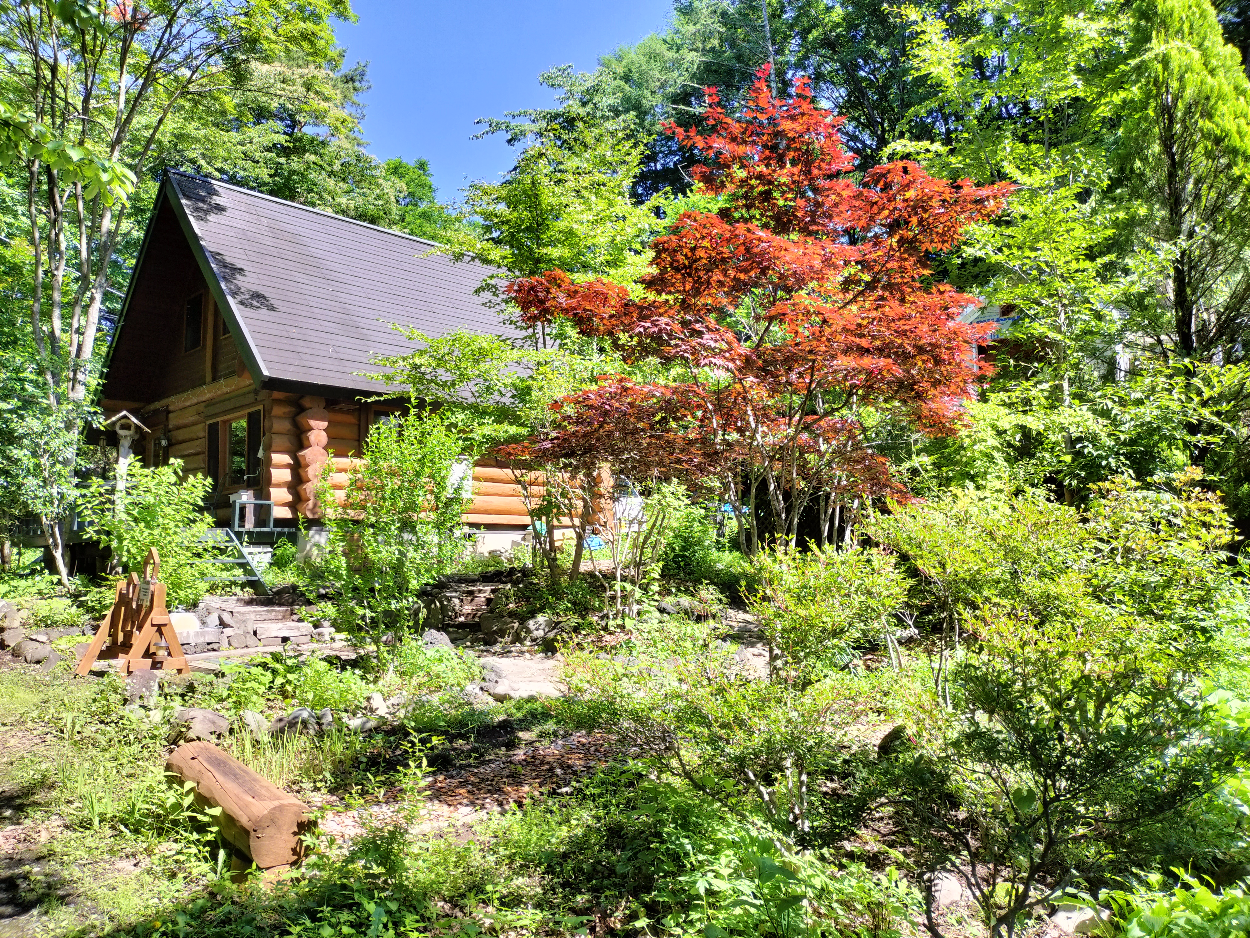 ココの家のガーデン