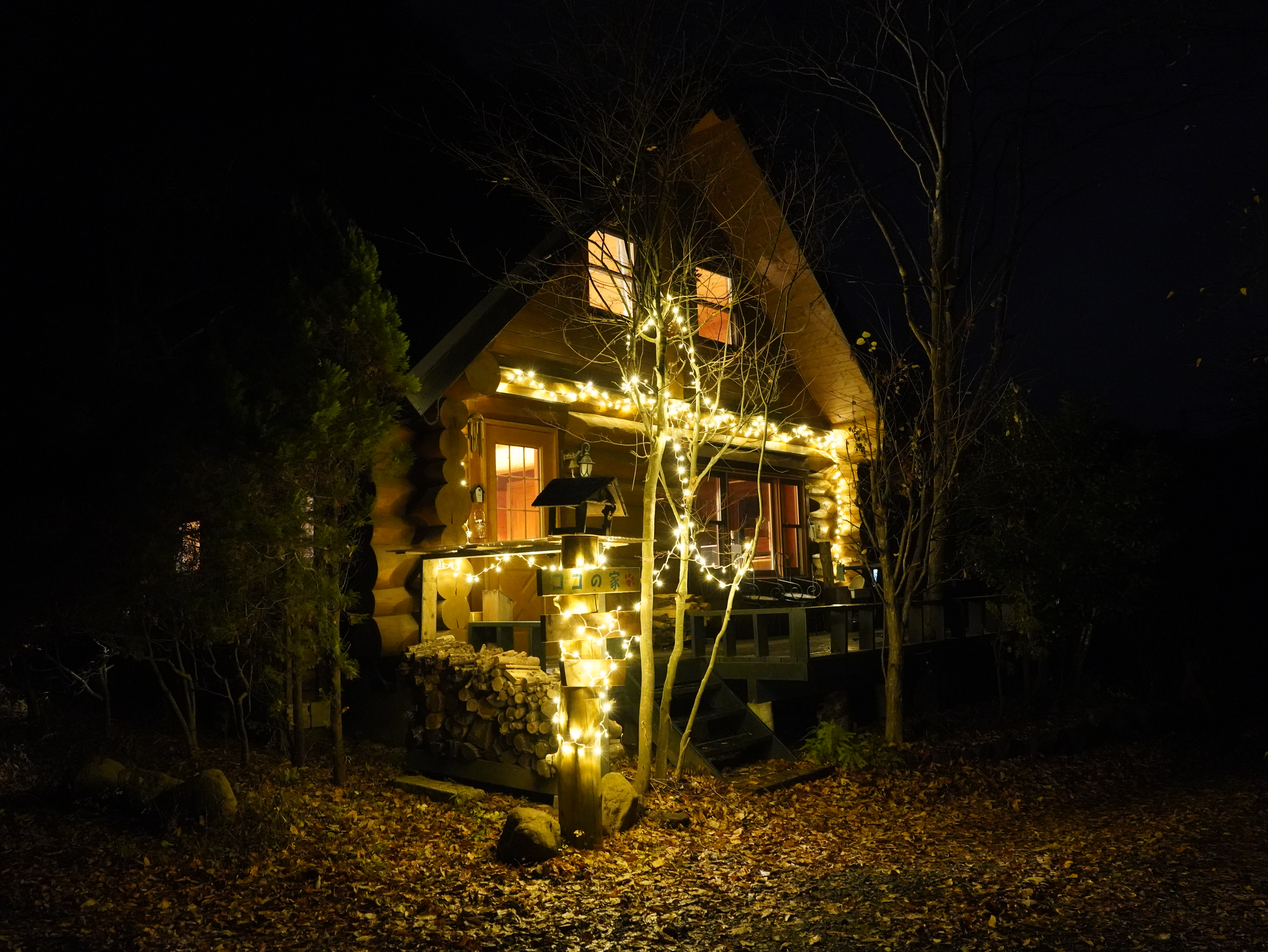 イルミネーション