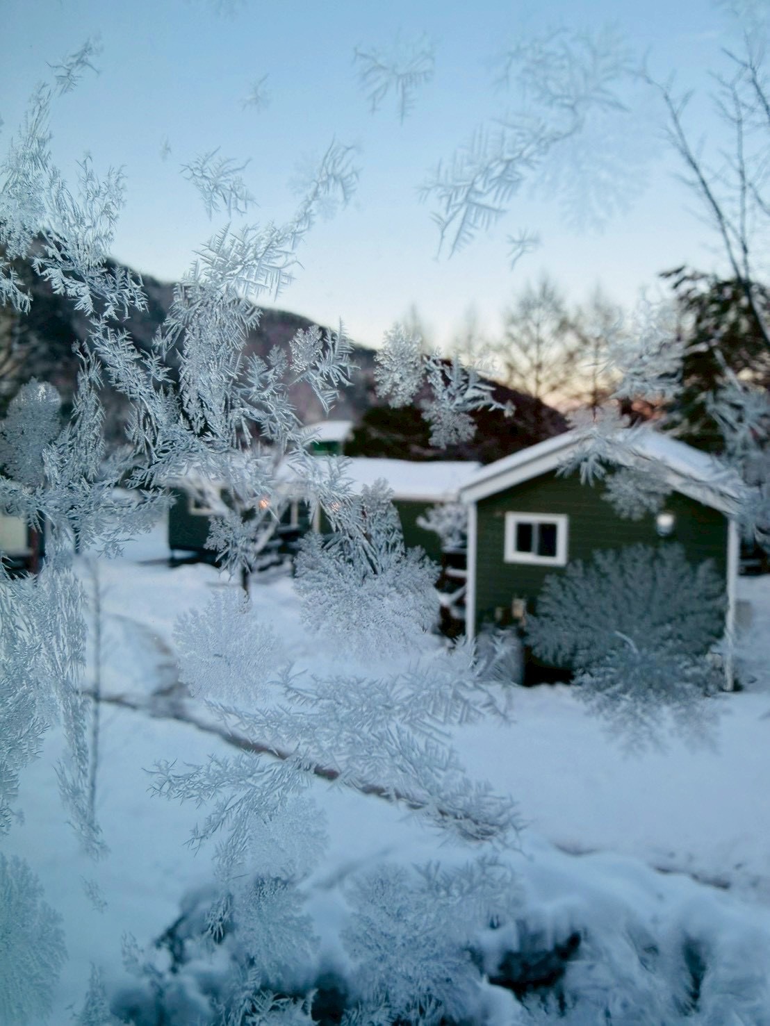 室内からの景色