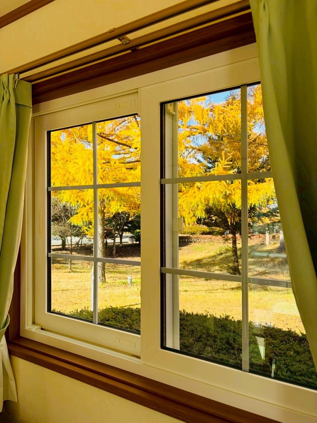 室内からの景色