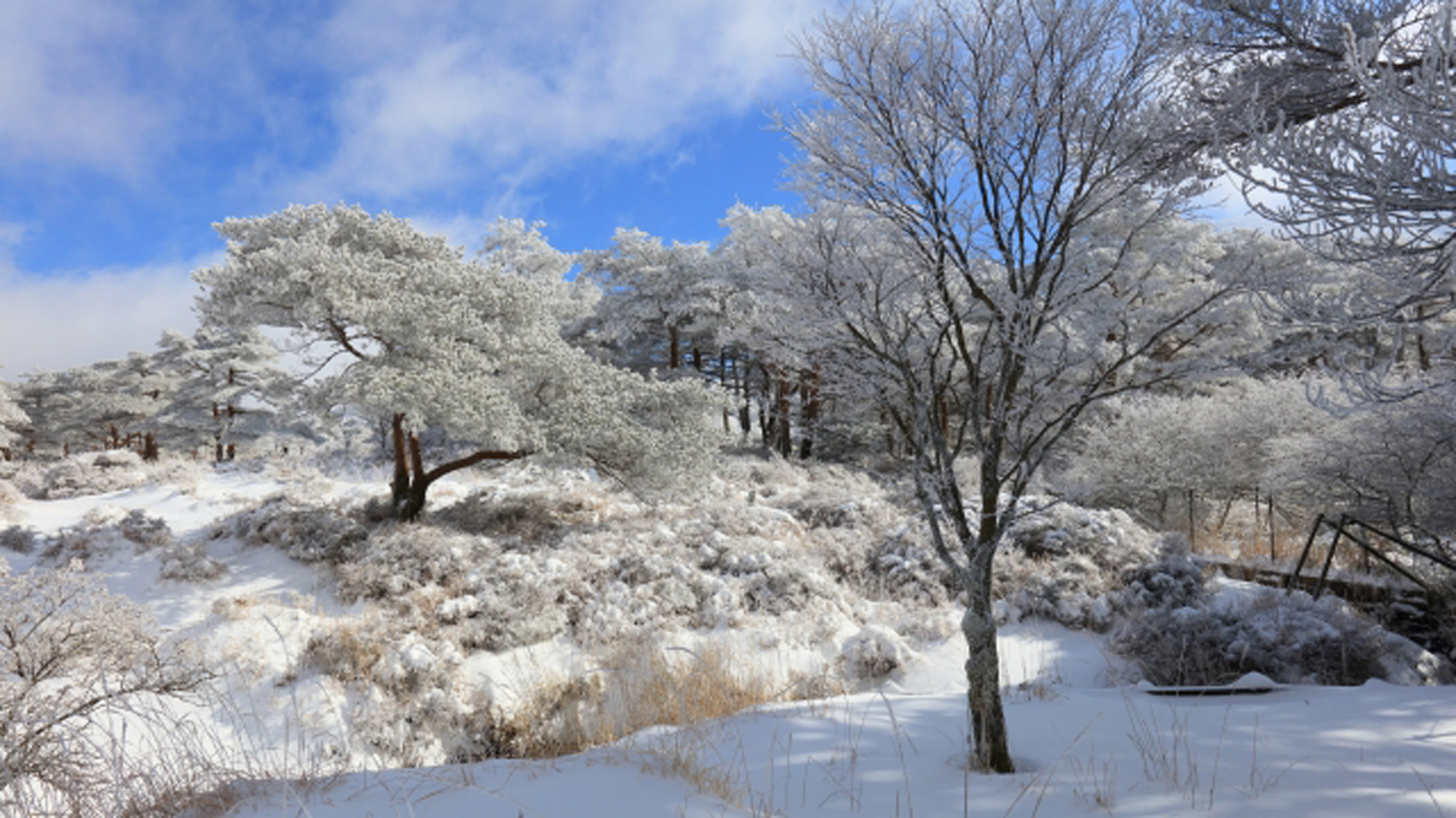 霧島雪景色
