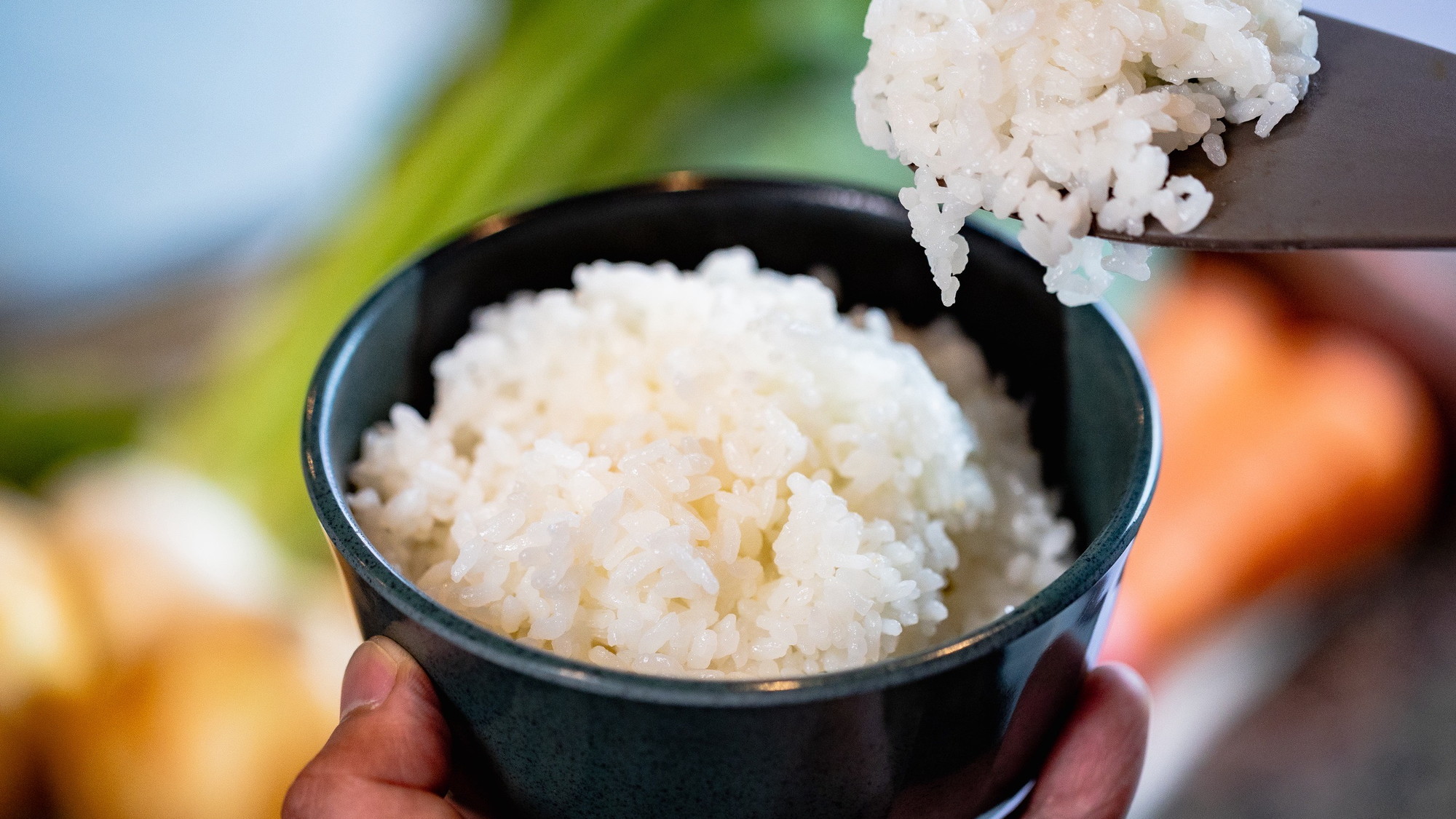 栄養バランスの取れた和食膳の朝食