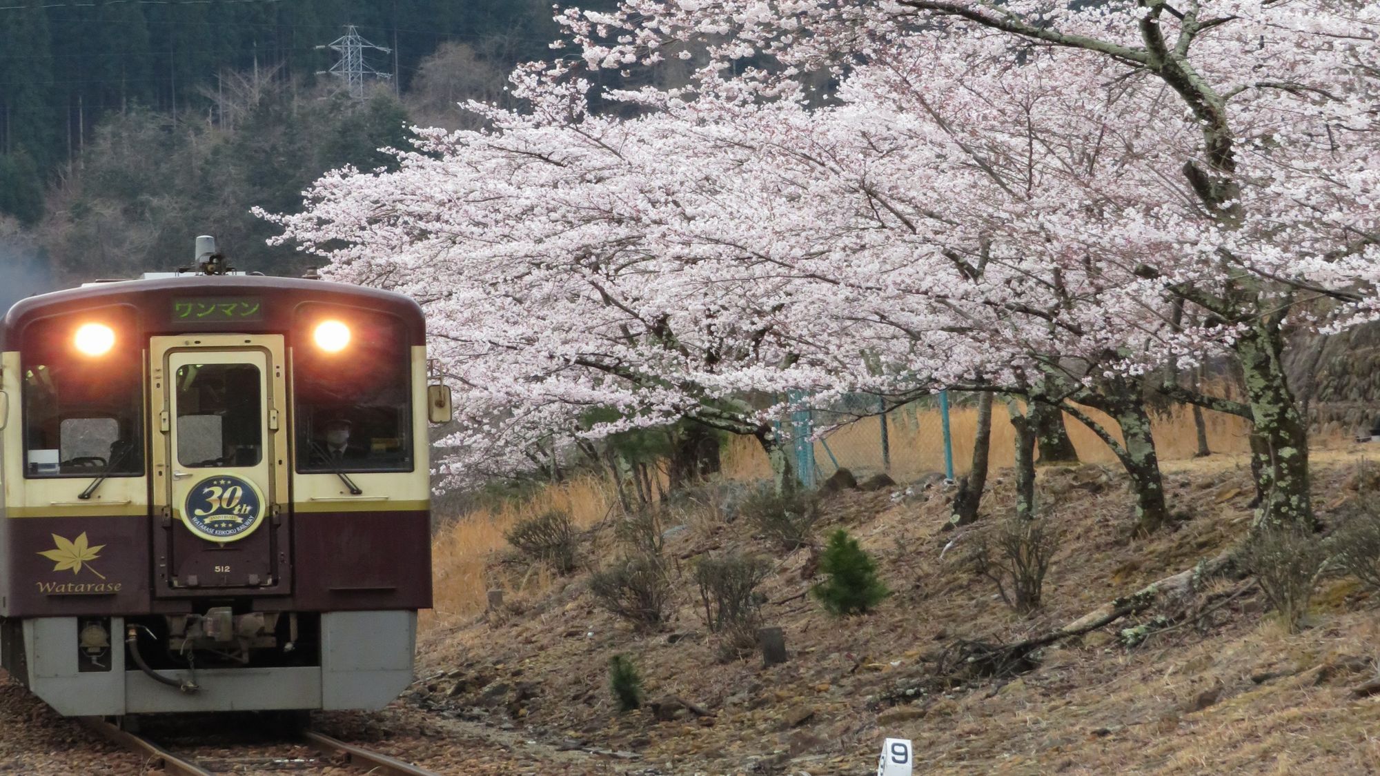 【わたらせ鉄道】ゆっくりと渓谷を走る渡良瀬渓谷鐵道。当館の最寄り「通洞駅」まで、のんびり旅。