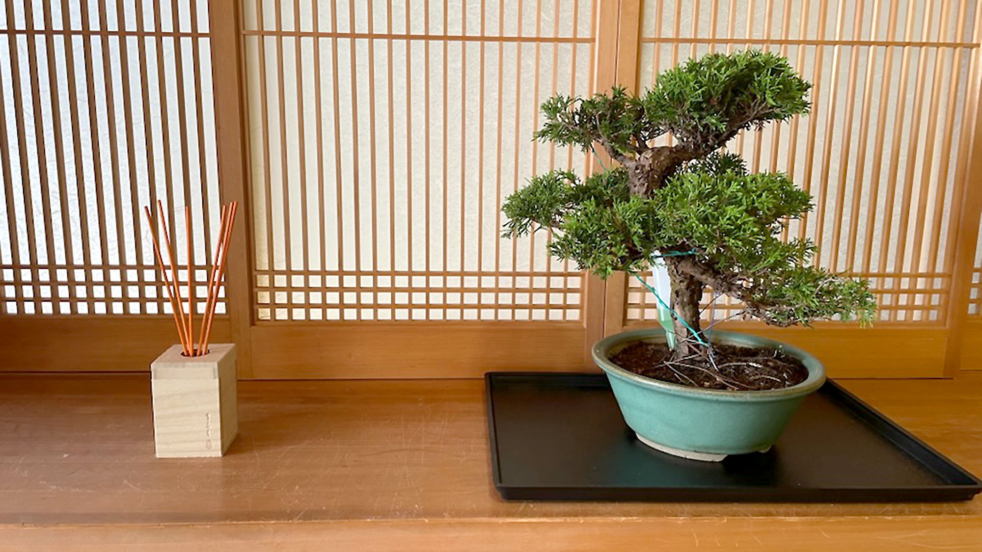 ・【インテリア】障子越しの光と盆栽。香と相まって日本の美を伝えるしつらえです
