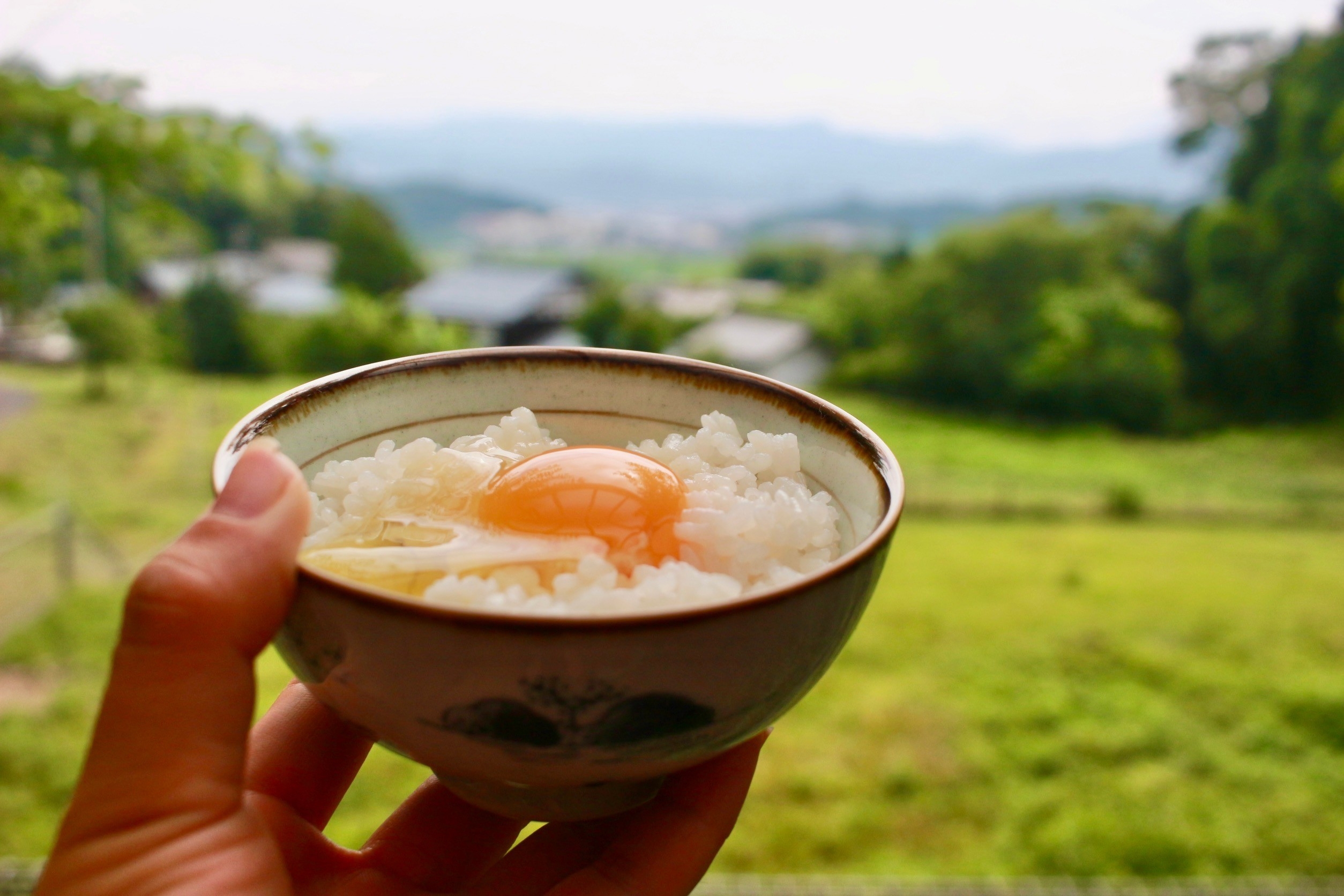 プラン②　プチ農業体験してみたい方にオススメ （朝食：かまど炊き卵かけご飯体験）