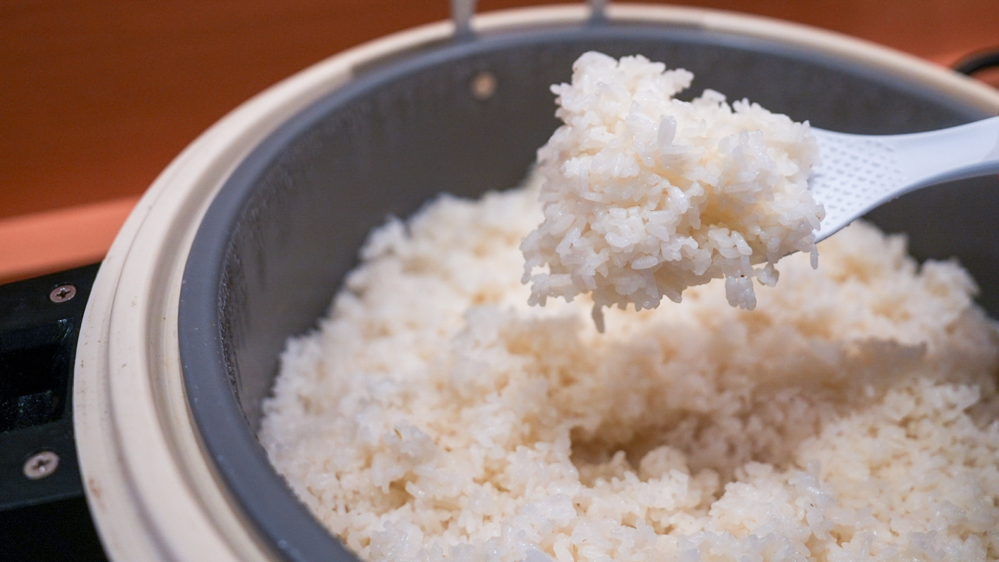炊きたてごはん