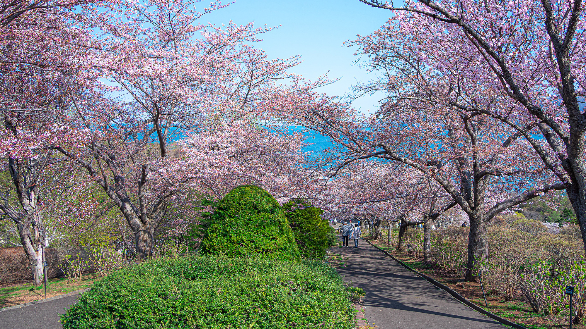 【旧国鉄手宮線跡地】＜徒歩約10分＞北海道で最初に開業した鉄道跡地。現在は散策路として親しまれている