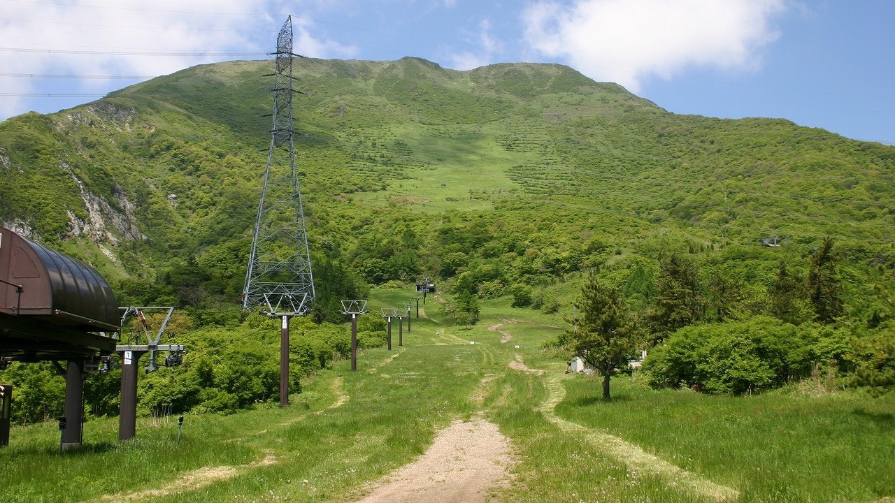 SDGs伊吹山植生復元！寄付額600円プラン（含お客様負担300円）☆天然温泉＆健康無料朝食付
