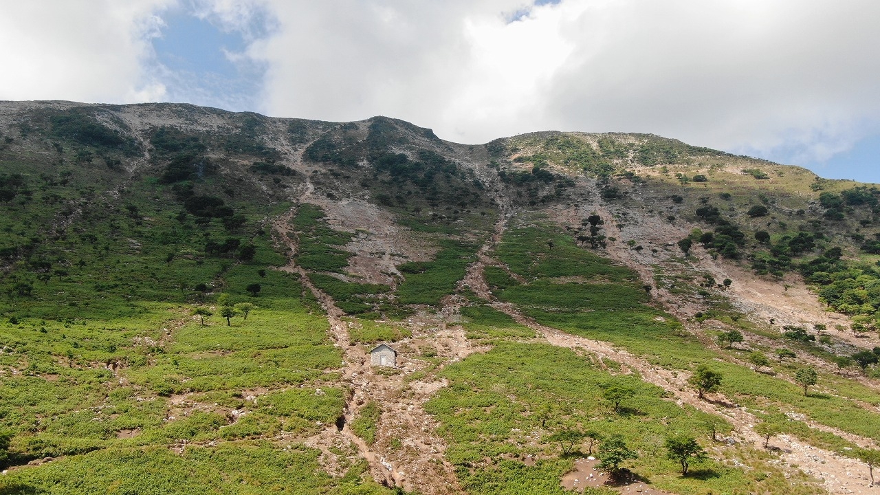 SDGs伊吹山植生復元！寄付額600円プラン（含お客様負担300円）☆天然温泉＆健康無料朝食付