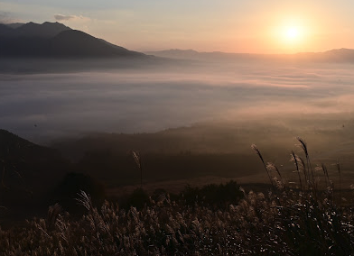 シングルロッジABC6