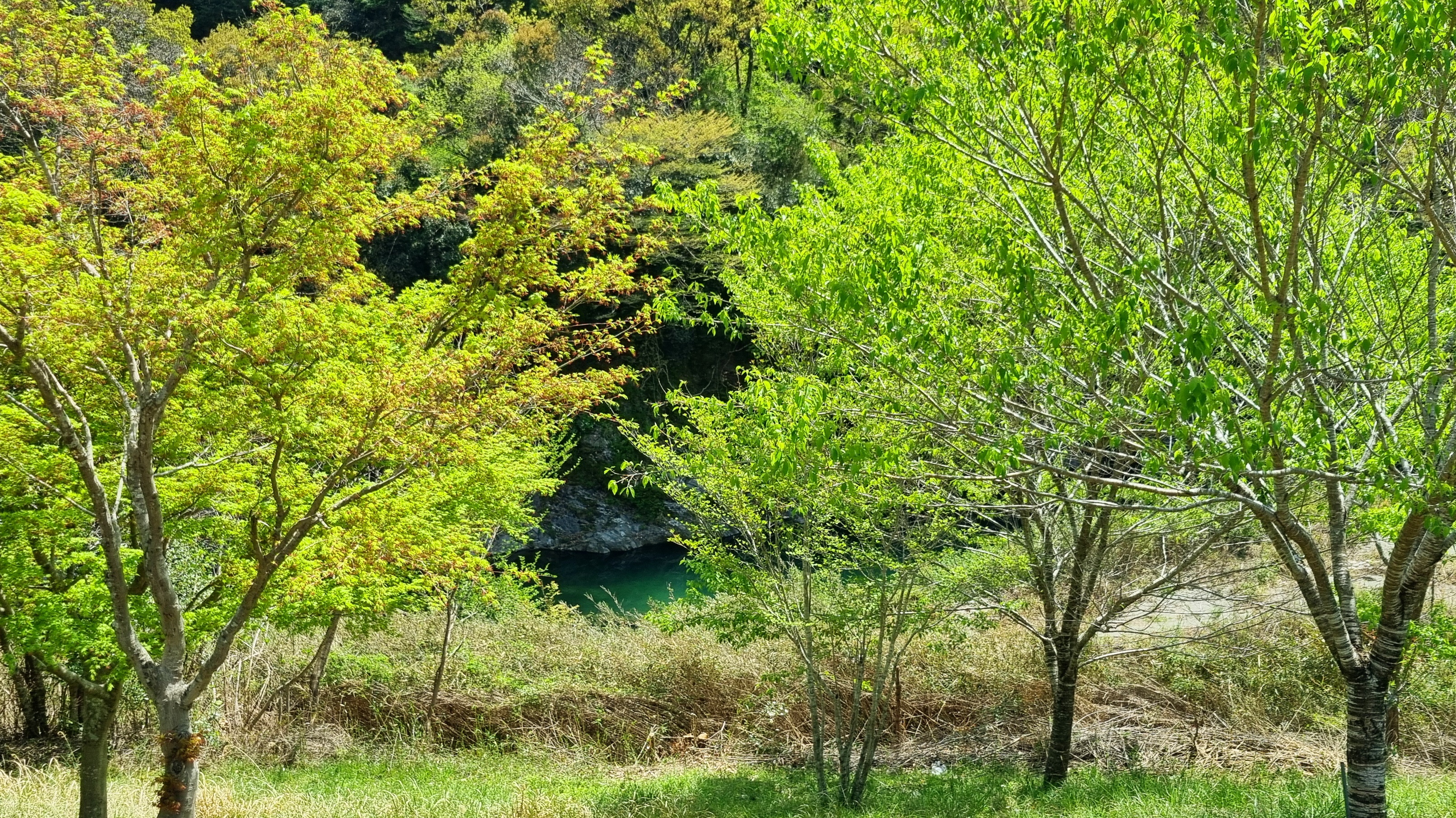 C棟からの初夏風景①