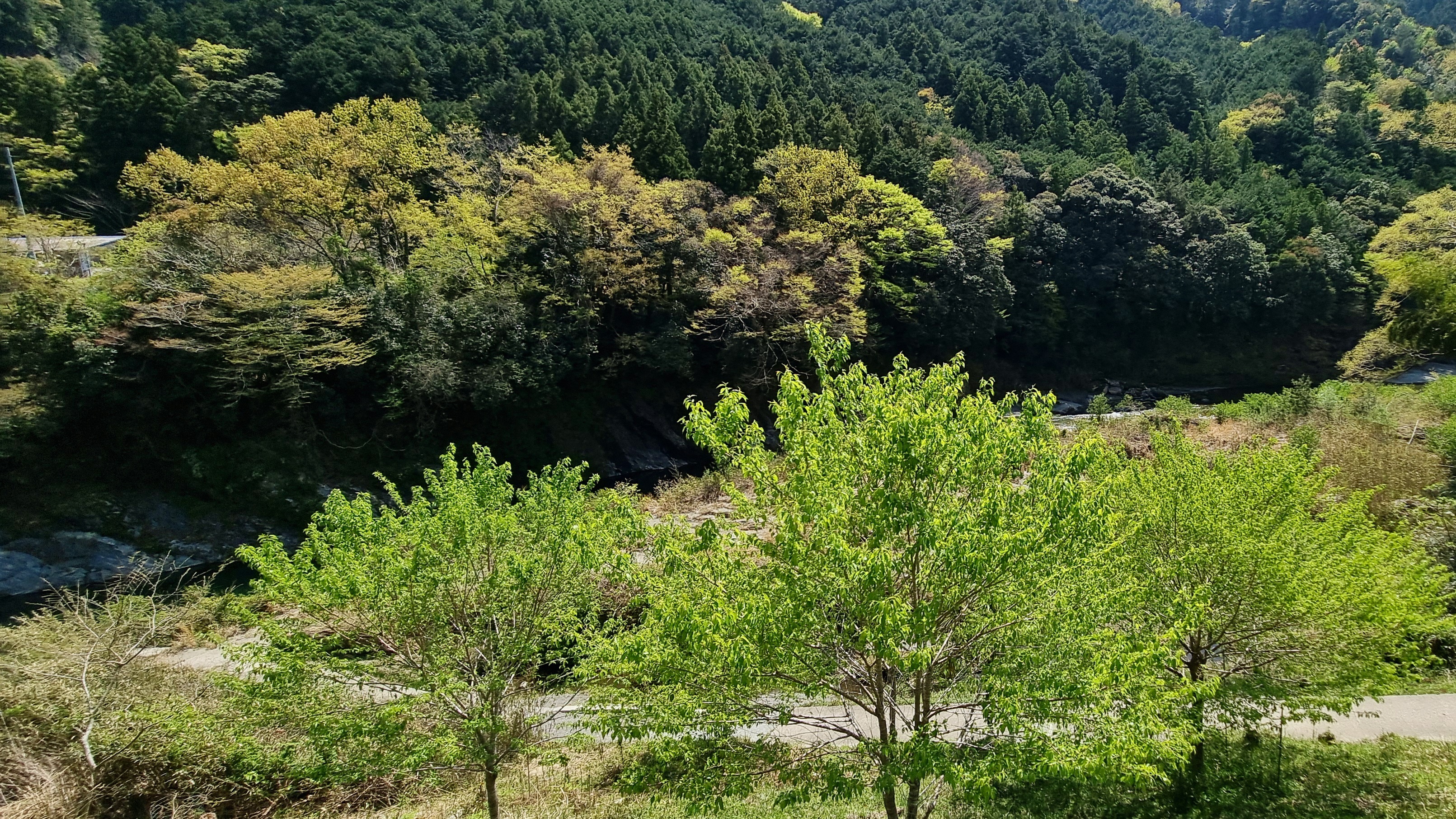 A棟テラスからの初夏風景