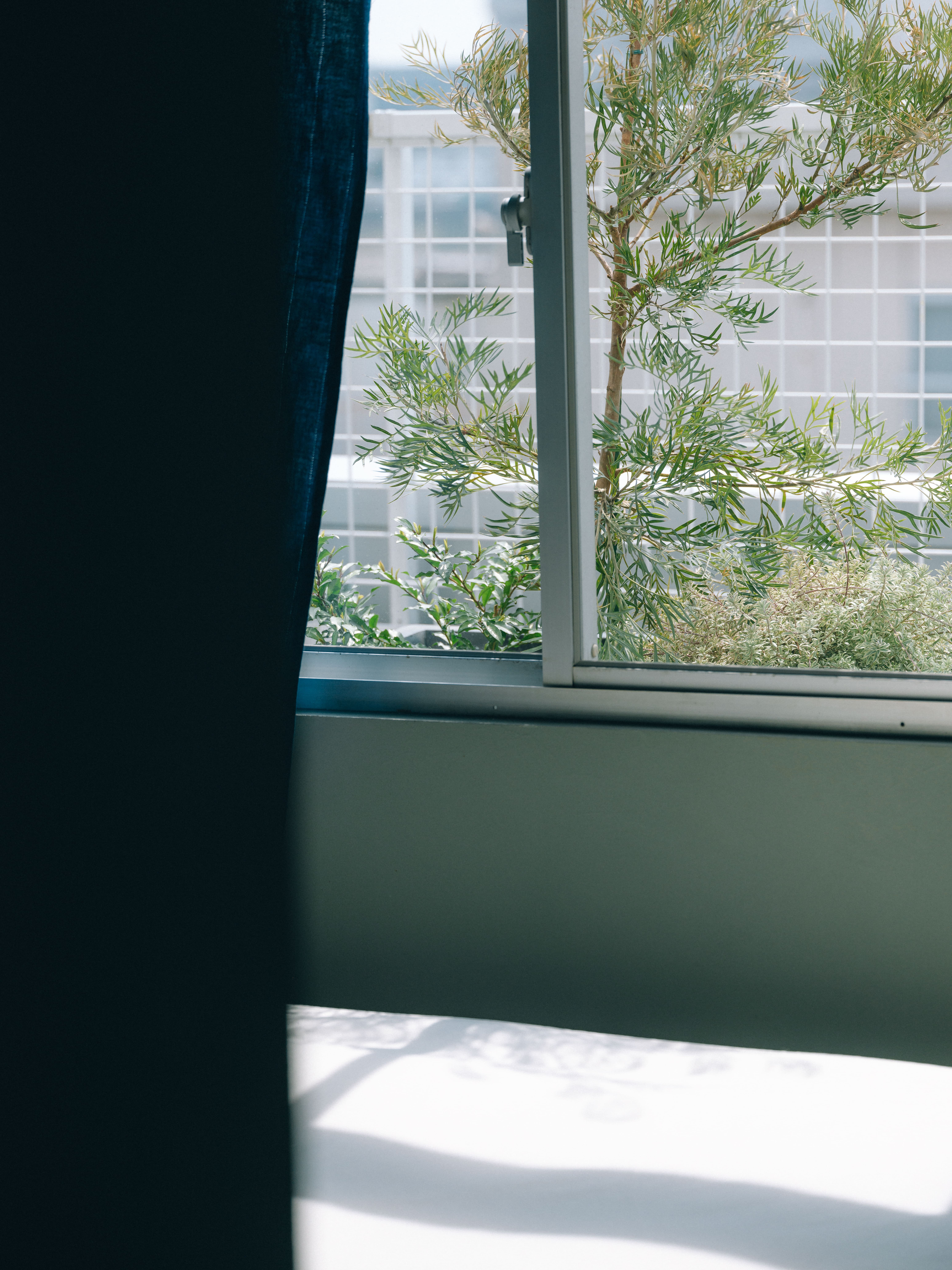 窓から見えるグリーン