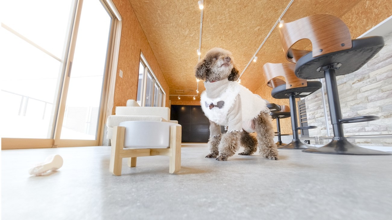 ＜素泊・愛犬同伴＞【オープン記念25％OFF】愛犬と自由気ままに楽しむ青森の旅！便利な立地で快適