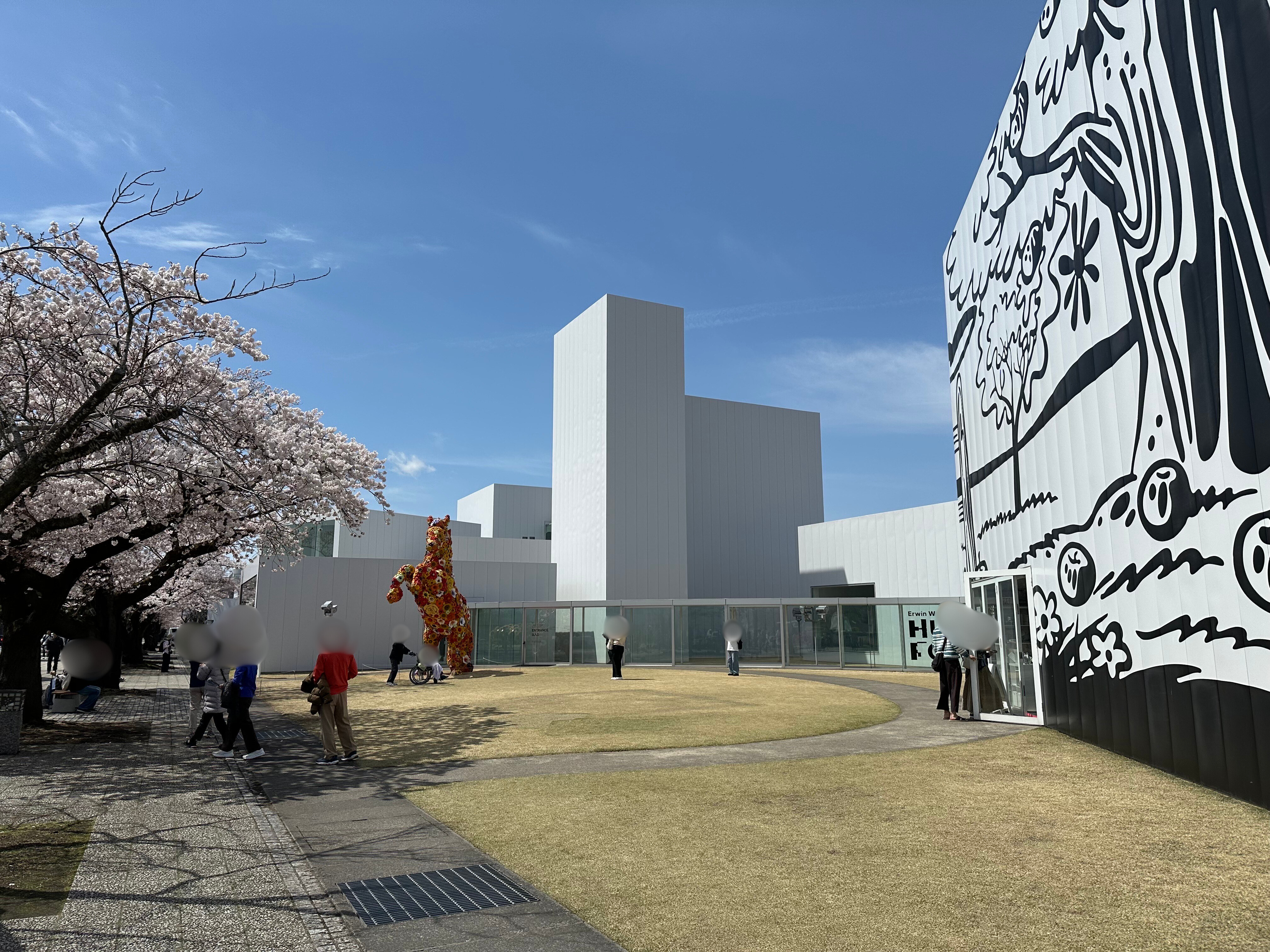 【春】十和田市 官庁通りの桜②