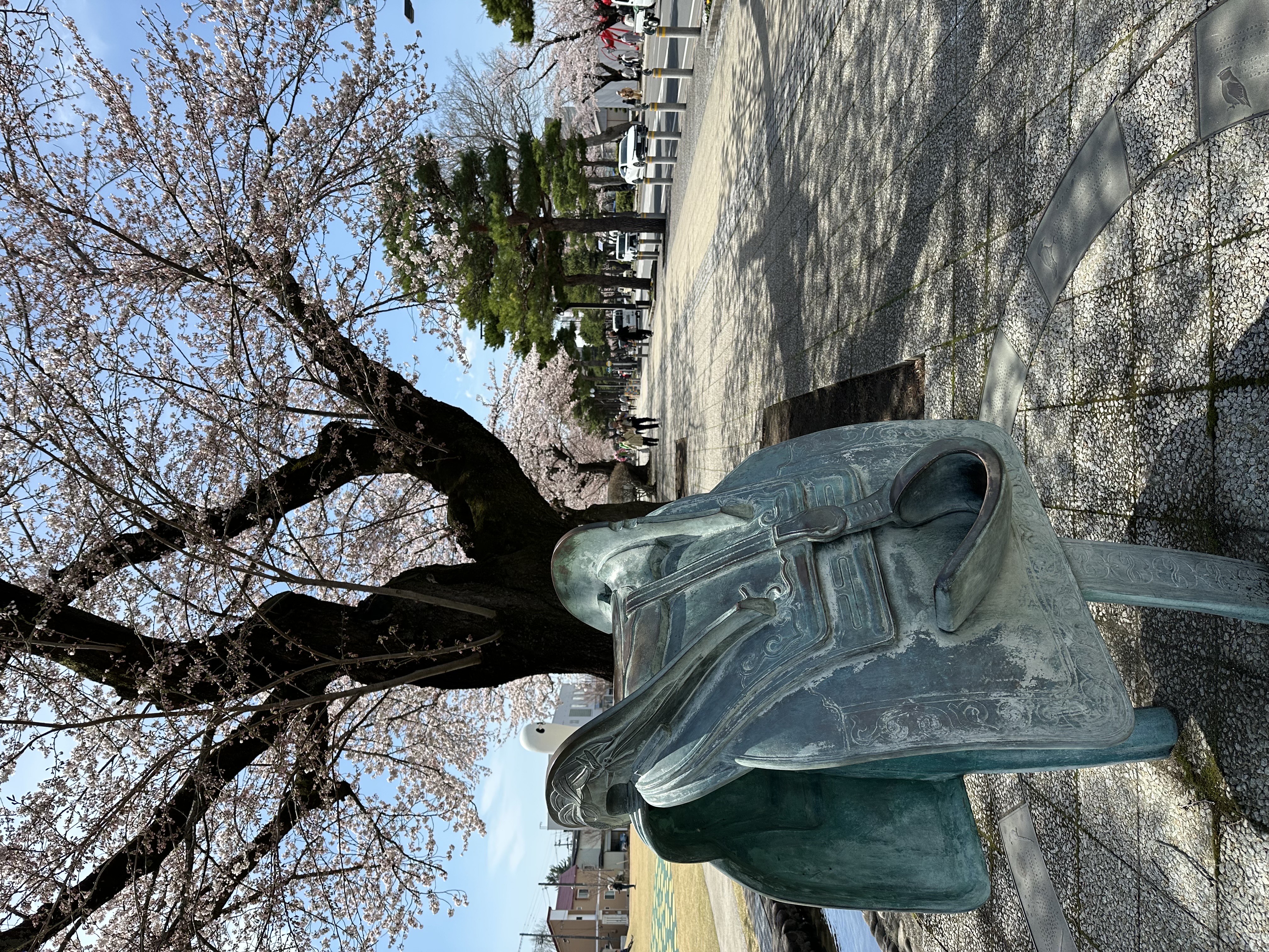 【春】十和田市 官庁通りの桜①