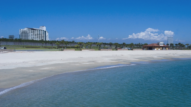【夕食・朝食】宮崎牛と宮崎ブランドポークの食べ比べ【すき焼きorしゃぶしゃぶ】選べるディナー付プラン