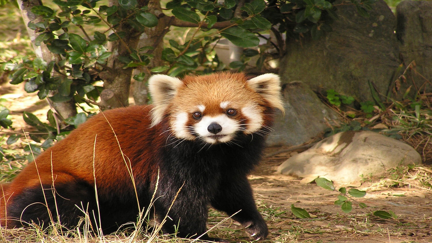 【朝食付】12種類のアクティビティが楽しめる！お子様半額プラン