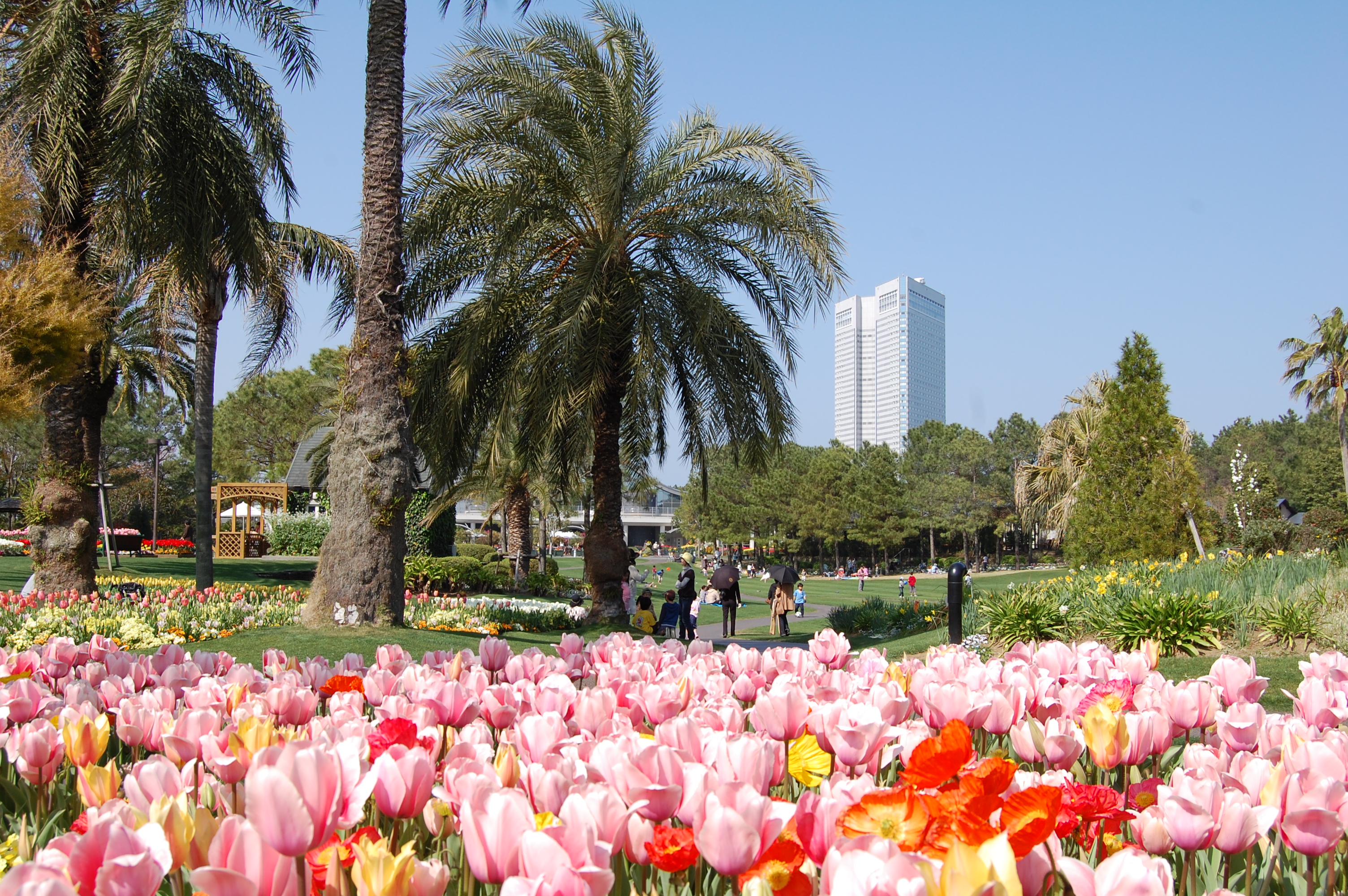 フローランテ宮崎