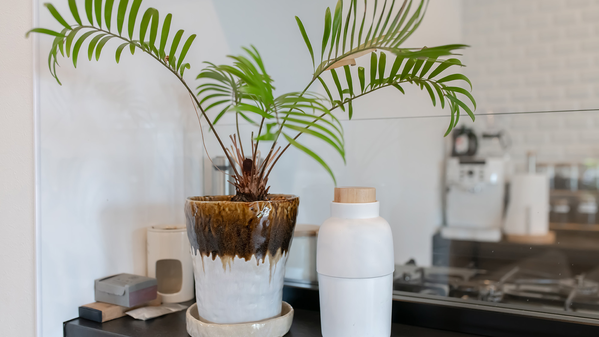 ・【キッチン】緑がホッとするインテリア。リラックスしていただければ幸いです