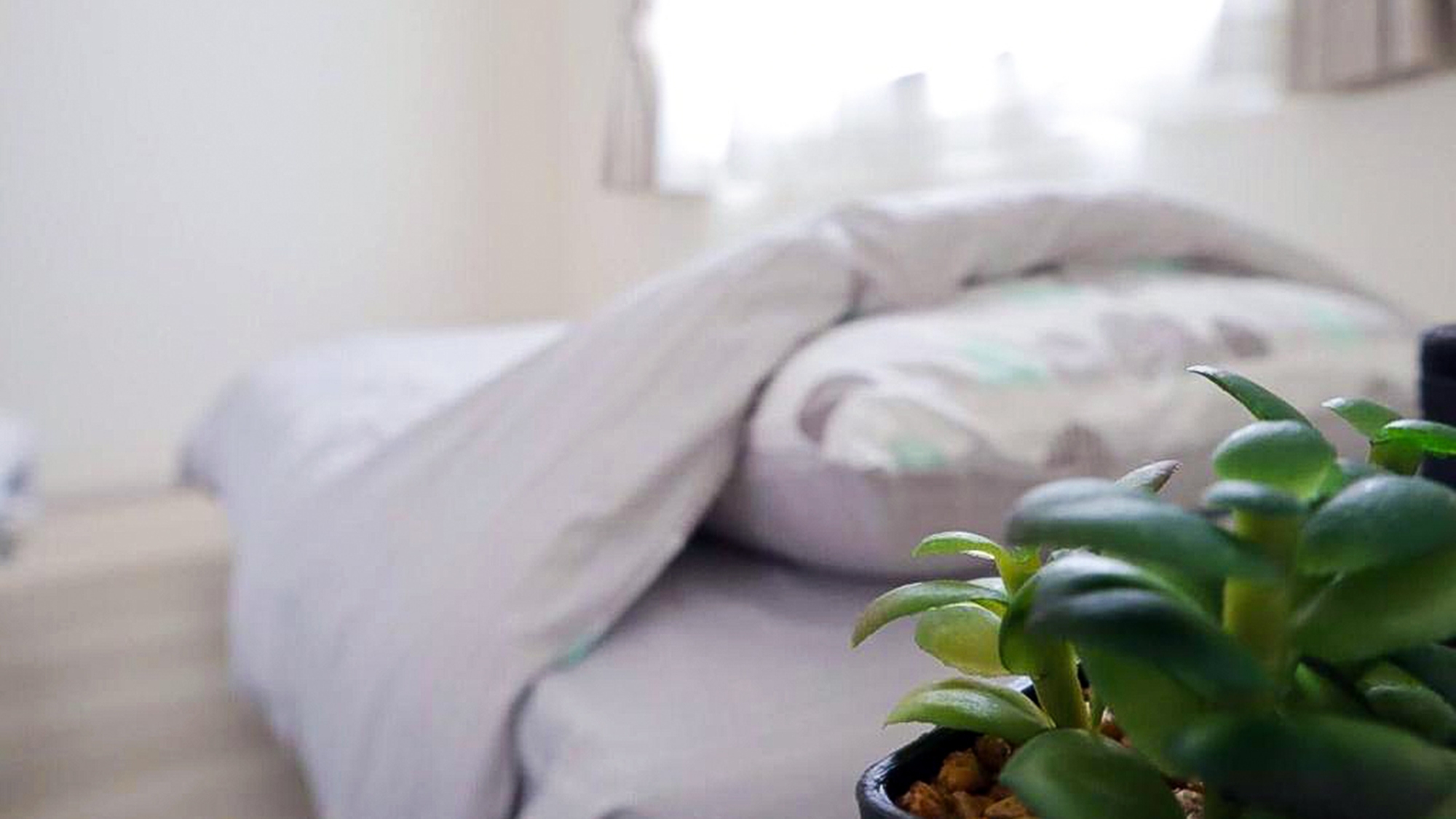 【楽天スーパーSALE】【素泊まり】大町電停前・元町エリアは徒歩圏内！函館滞在をお楽しみください