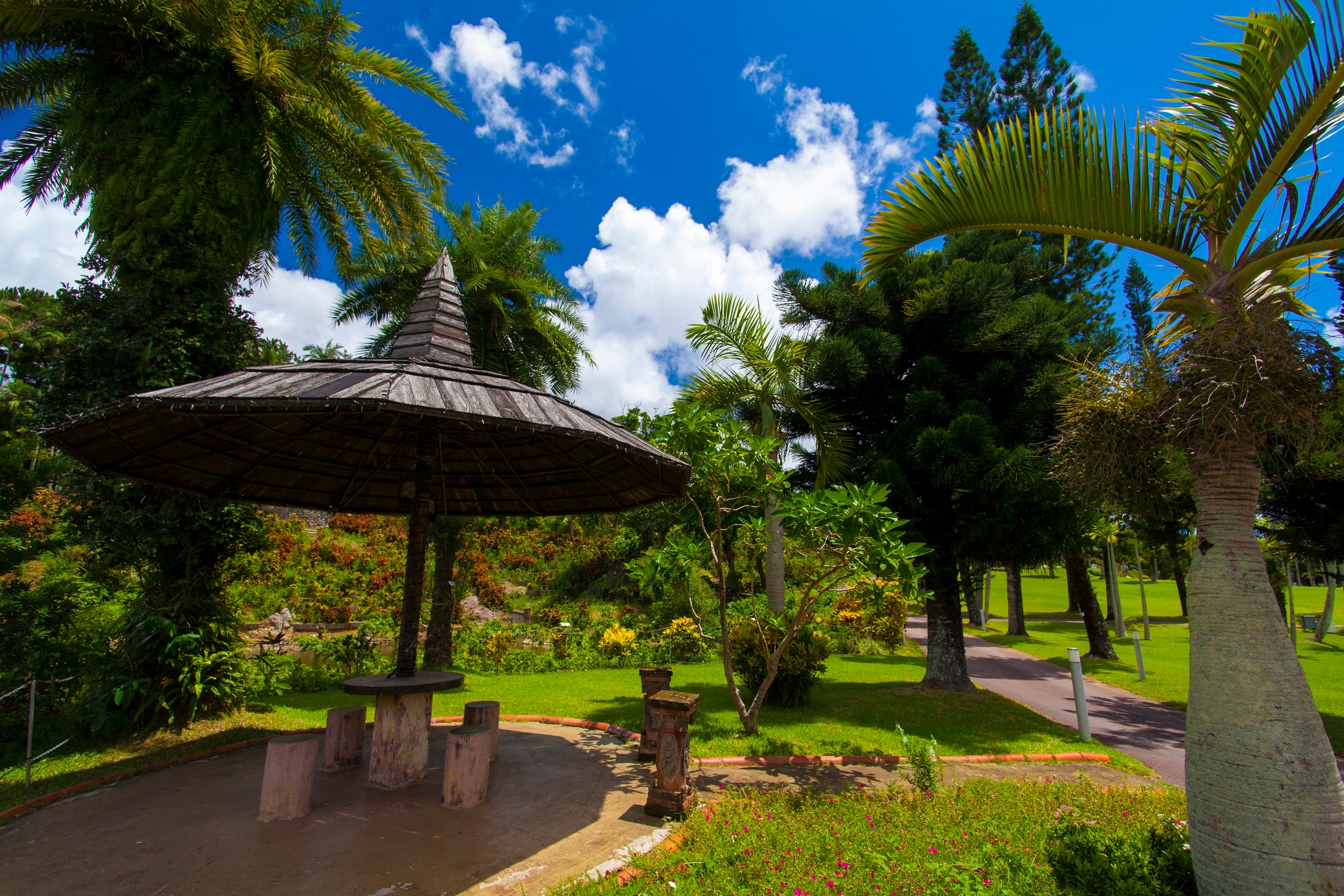 【美らヤシパークオキナワ・東南植物楽園】ホテルから車で50分