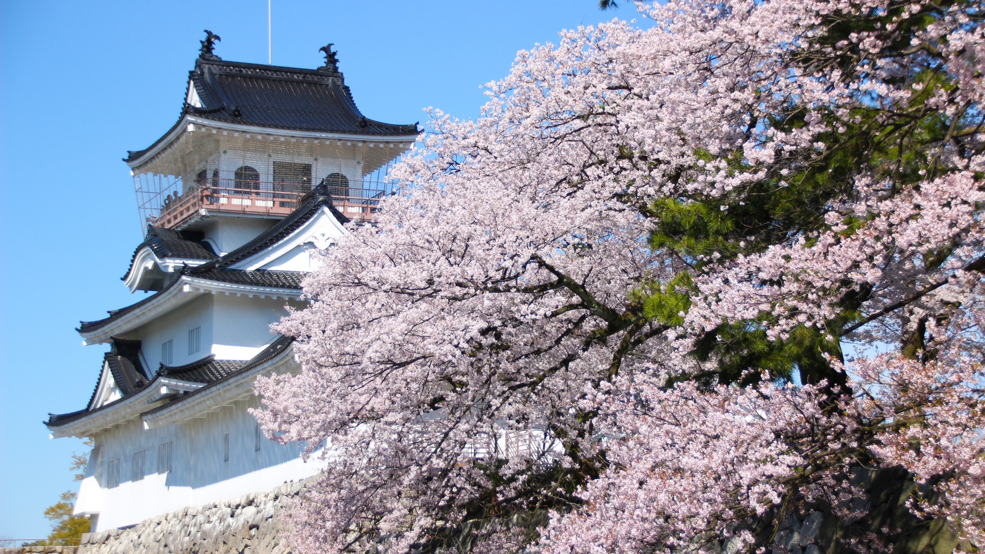 【富山城址公園】当館から徒歩で1分