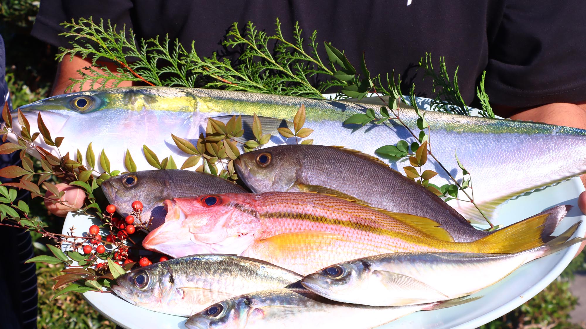 地元の新鮮な食材