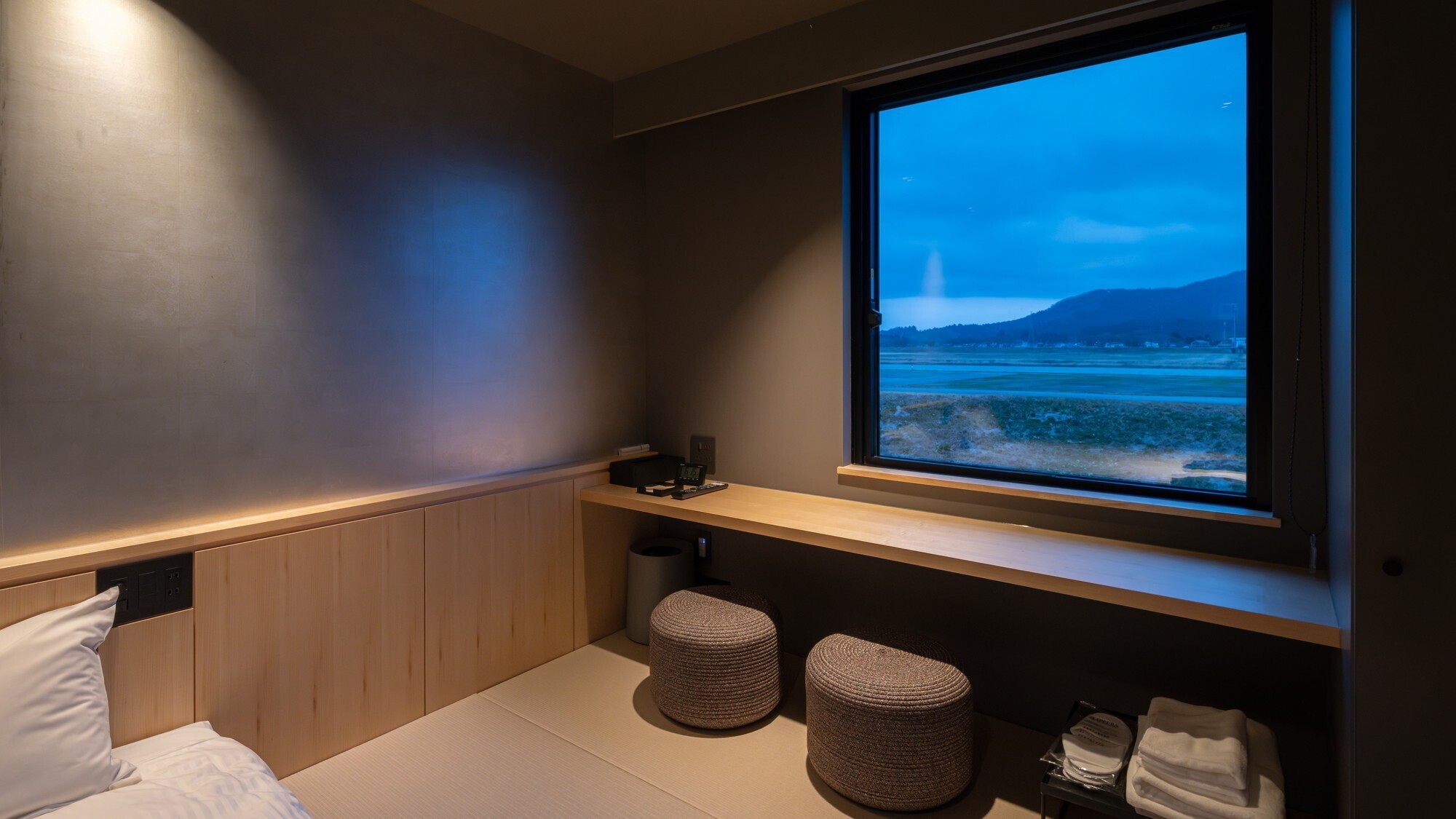 【低層階ツイン】低層階の為河川敷が望めにくくなっております。 シャワー・トイレ付