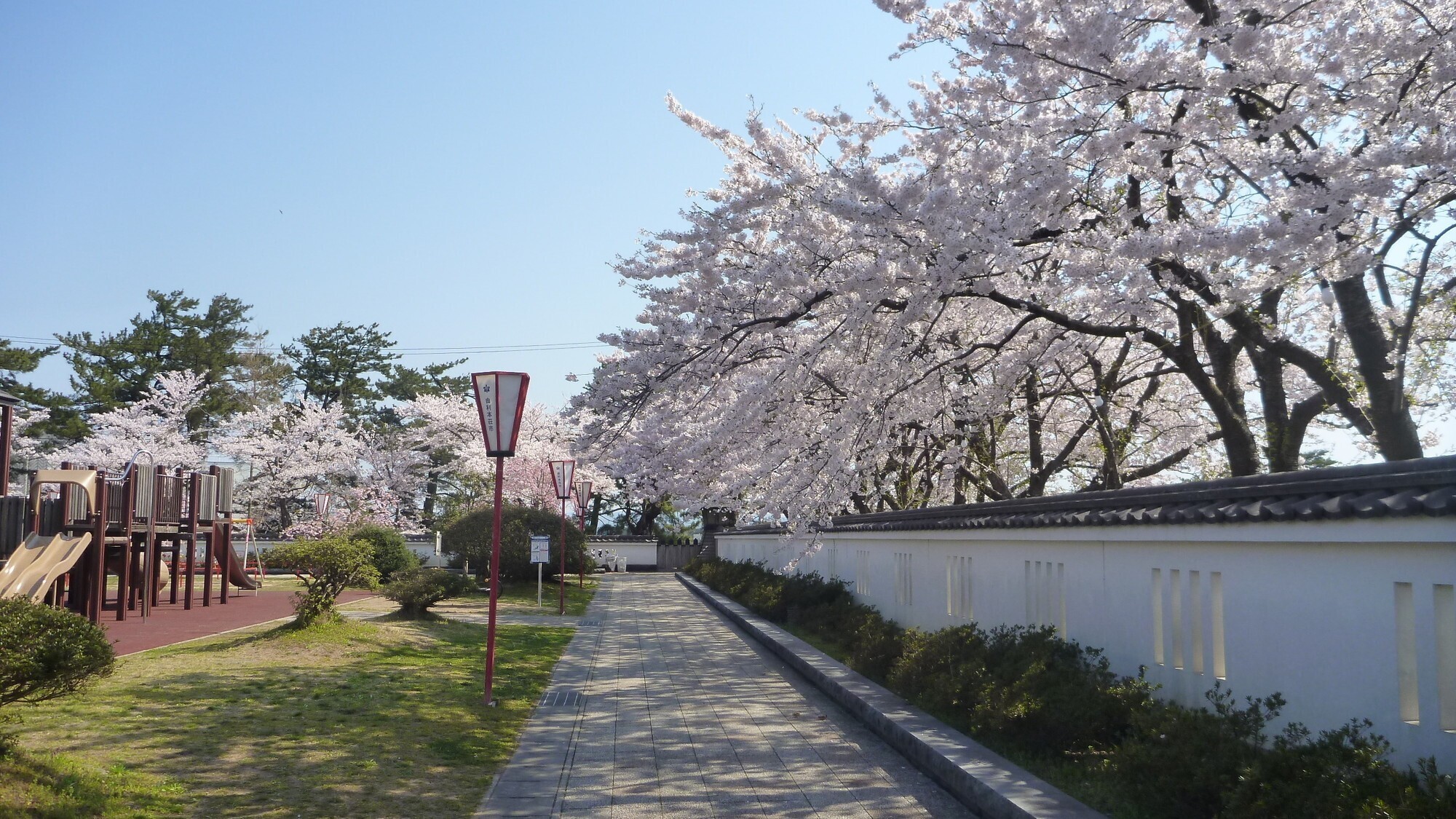 ■周辺観光｜本荘さくらまつり