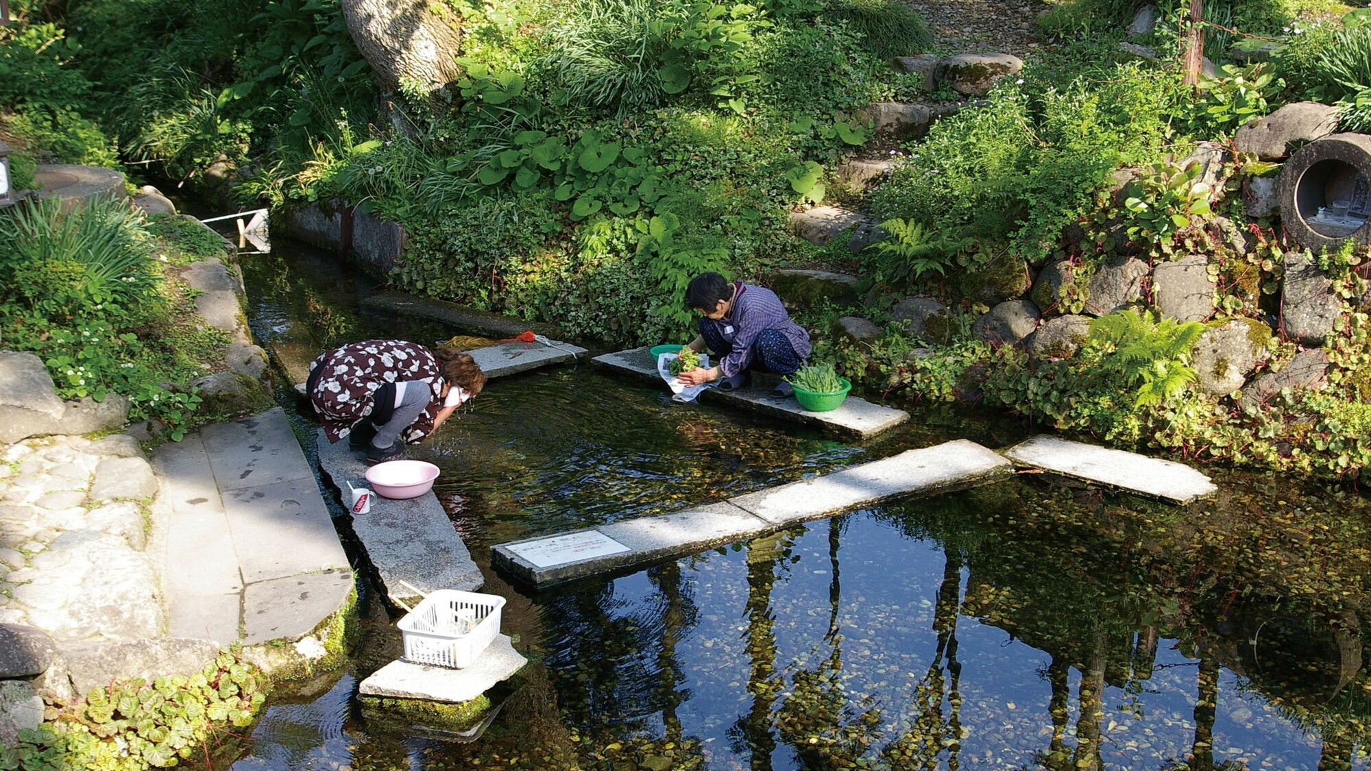 ■周辺観光｜日本名水百選『六郷湧水群』