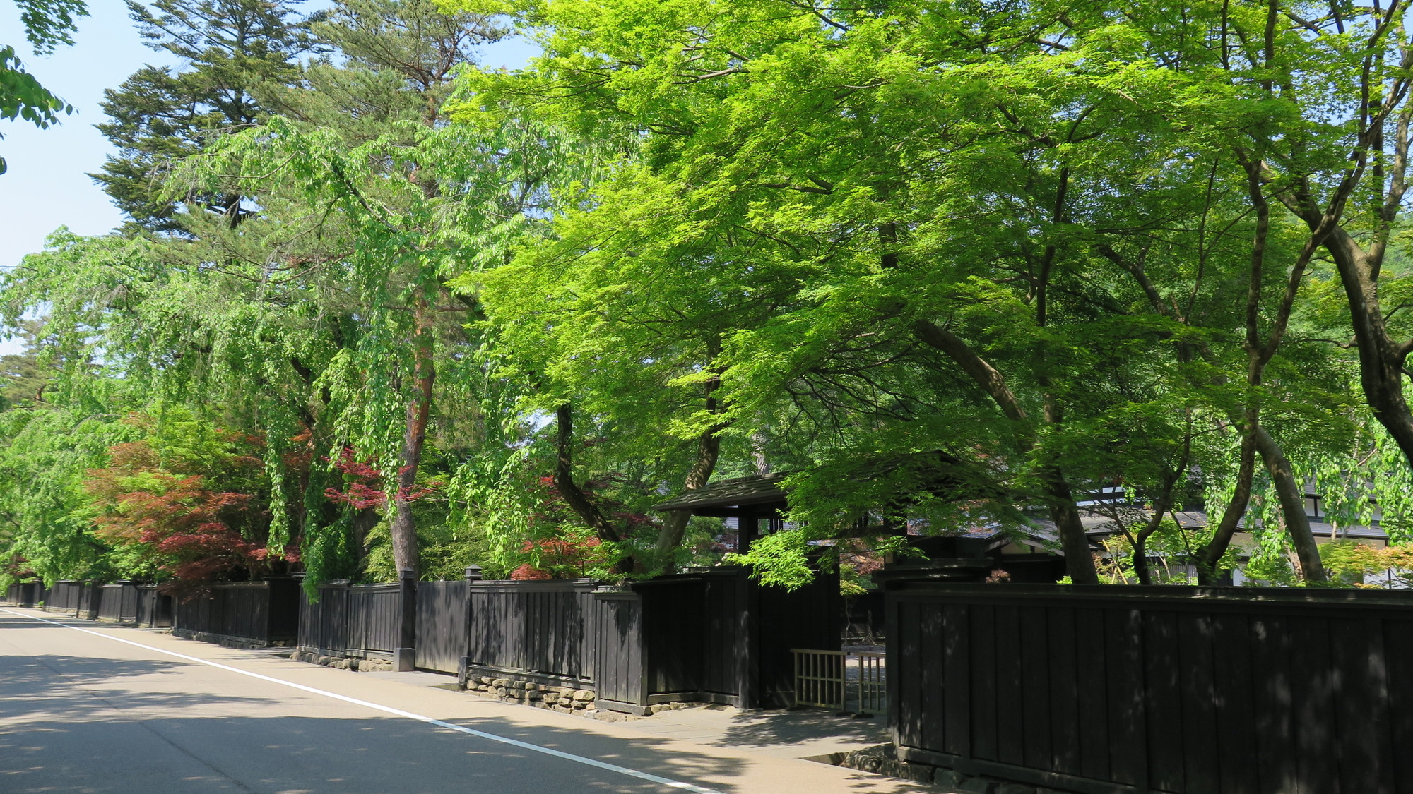 ■周辺観光｜角館武家屋敷