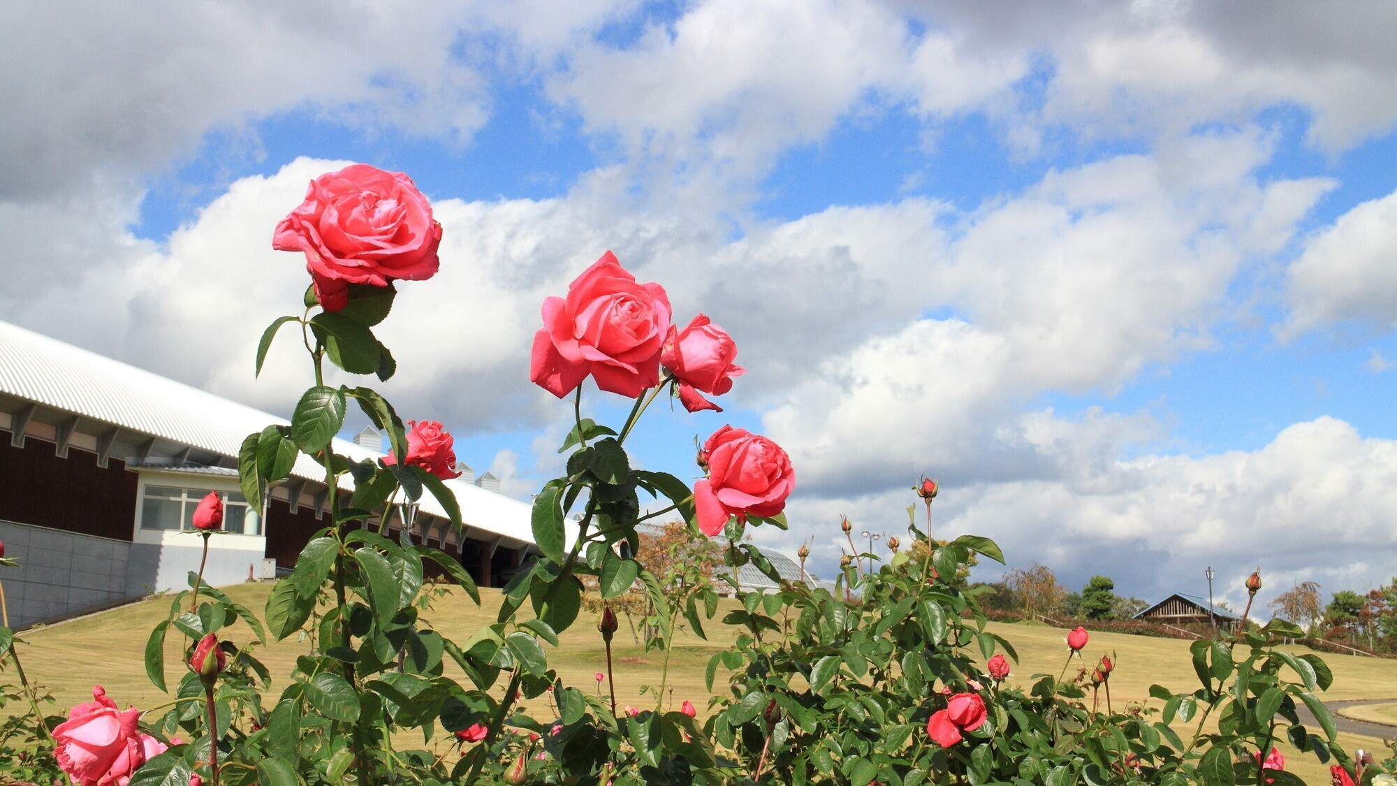 ■周辺観光｜秋田県立農業科学館