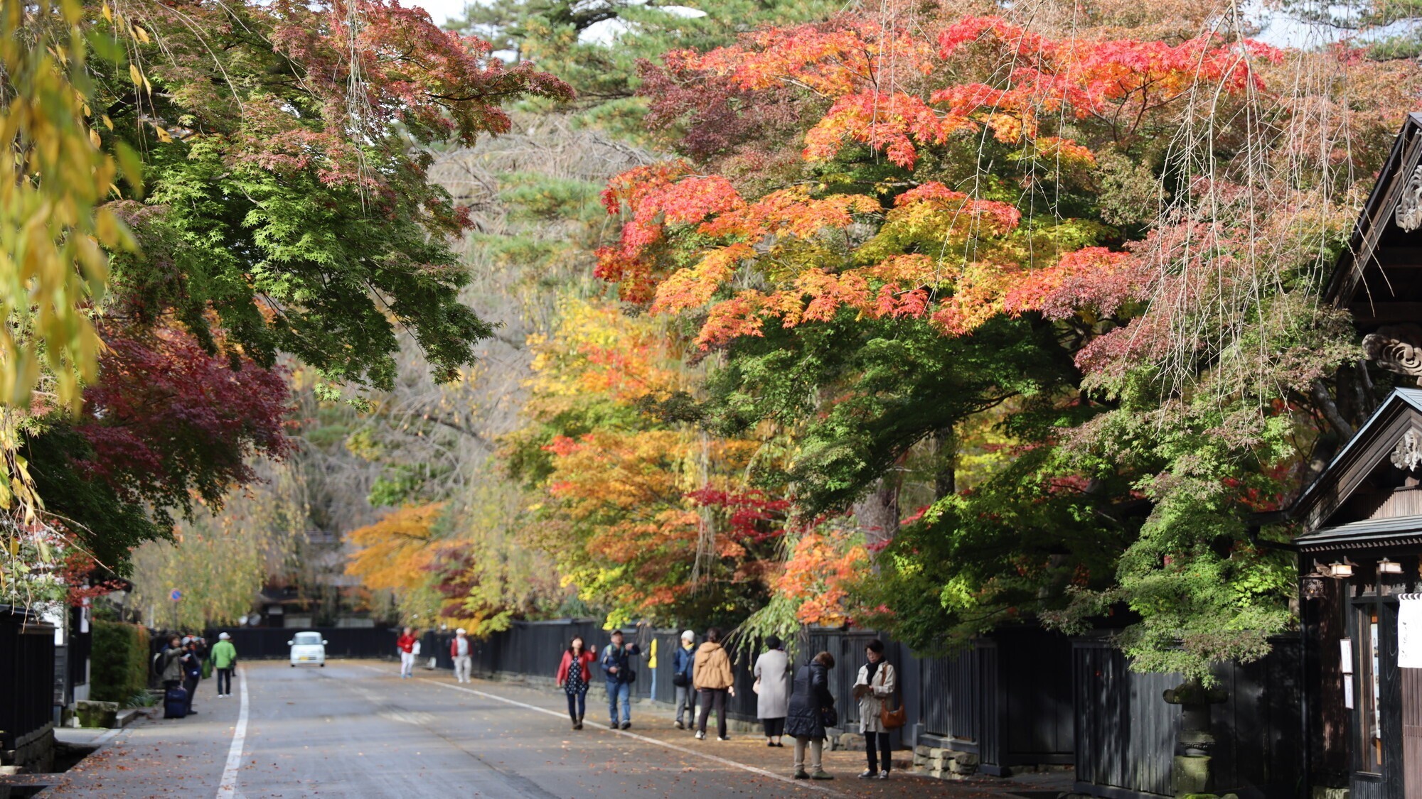 ■周辺観光｜四季折々、様々な風景が楽しめる角館武家屋敷