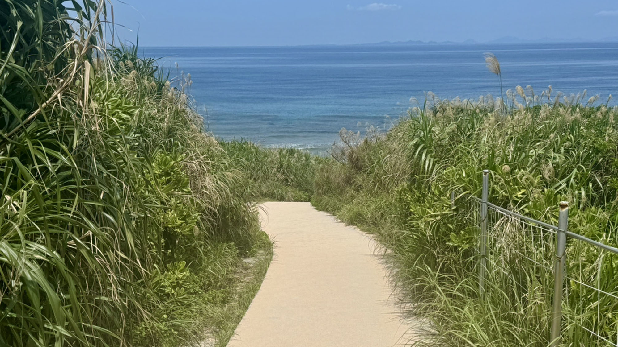 ・【周辺／ハートロック】この道の先にハートロックで有名なティーヌ浜があります