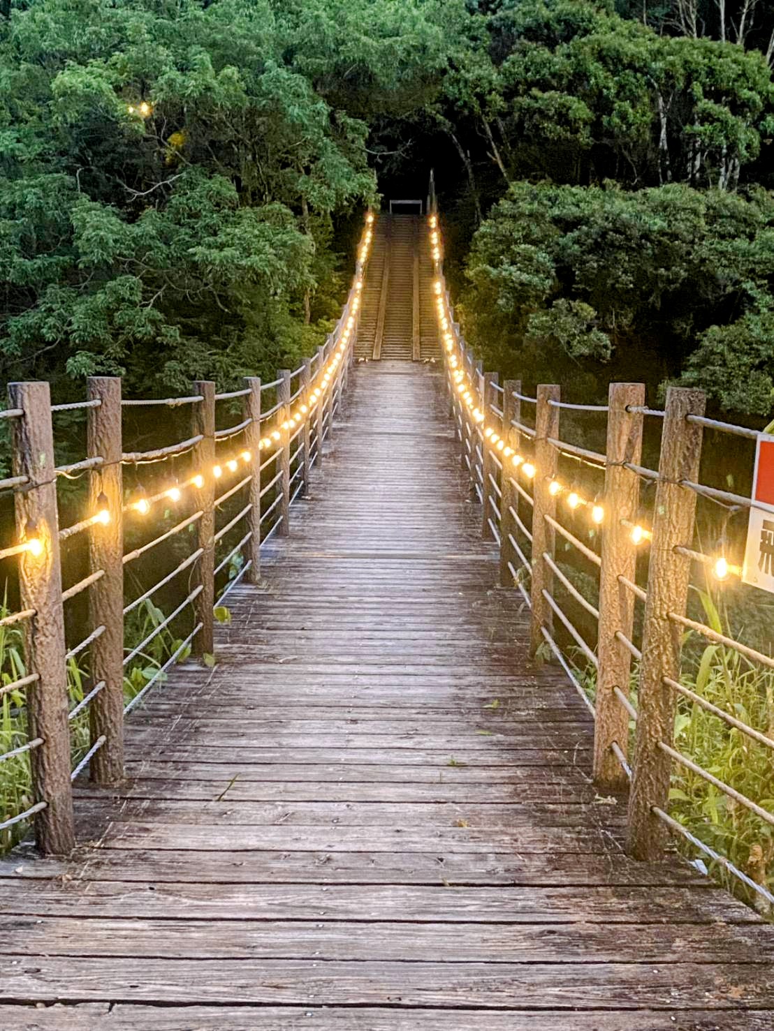 吊橋ライトアップ