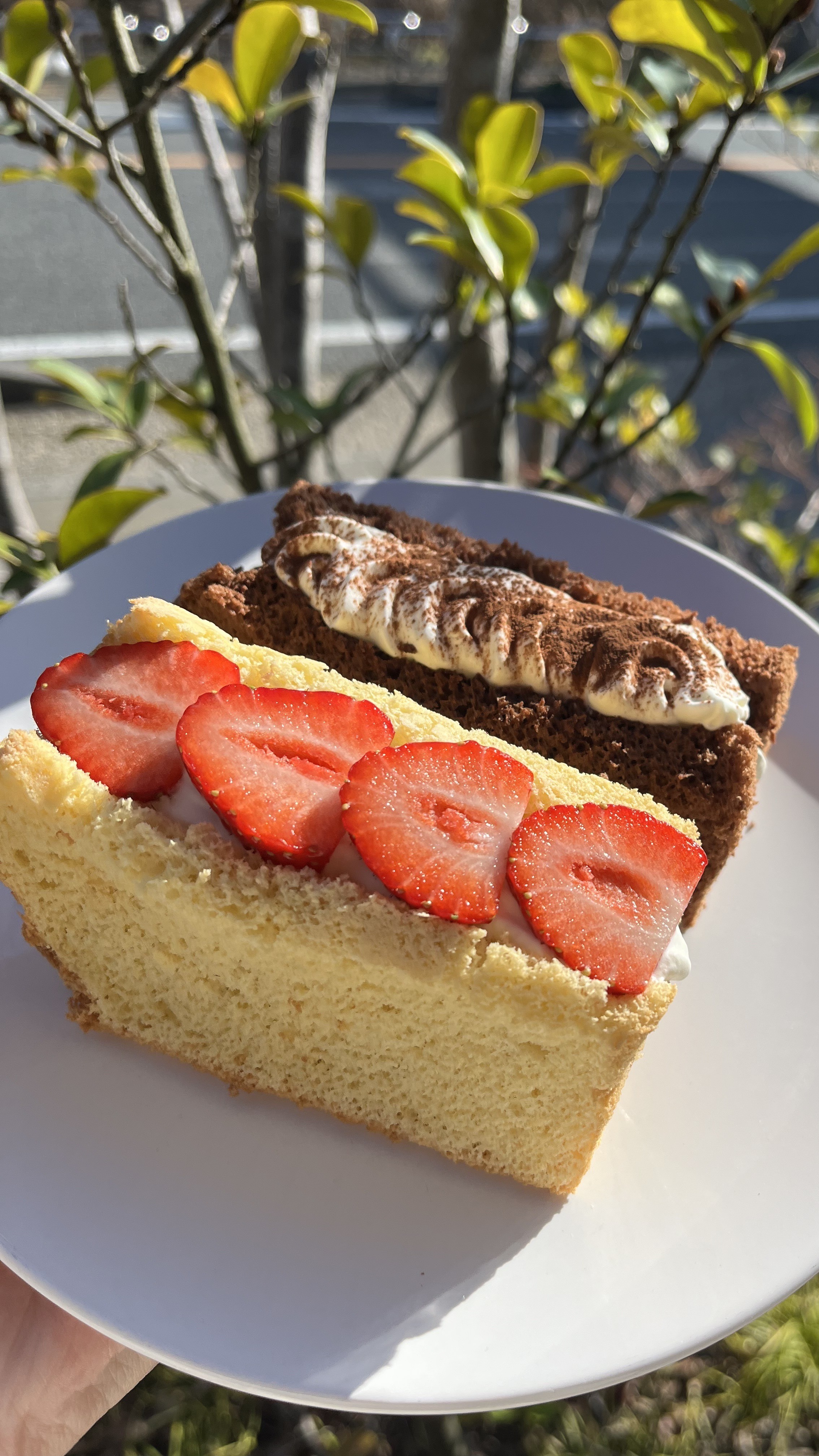 蒲原の洋菓子店「シュシュ」の絶品スイーツ