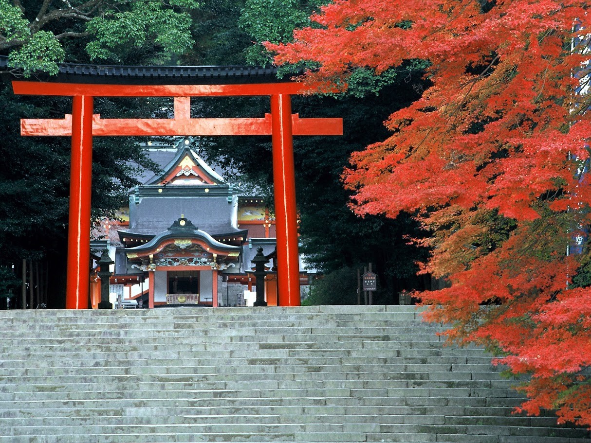 ザ・パルス霧島 - 写真 180