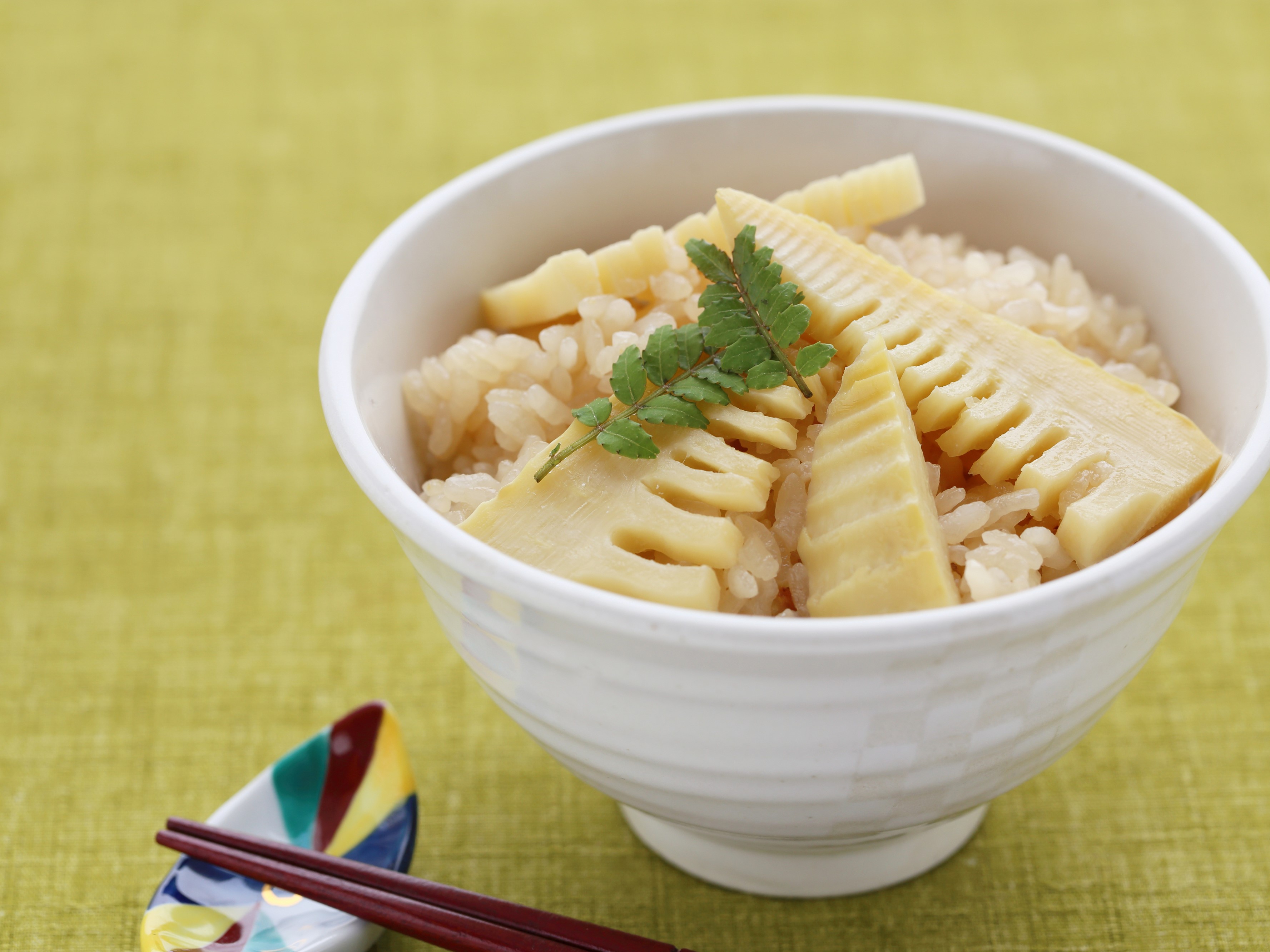 春の味わい夕食ビュッフェ　※イメージ