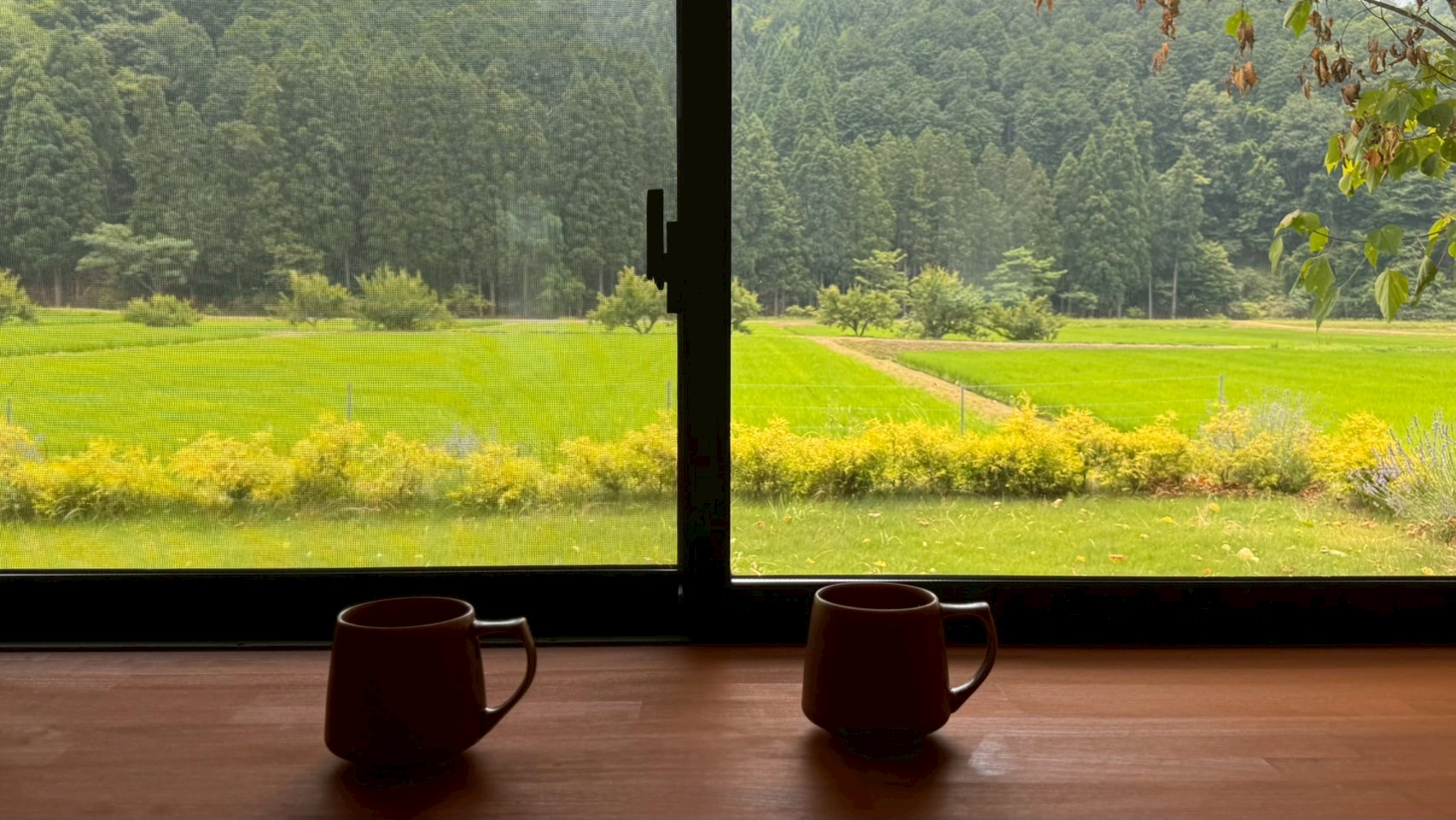 【美田】山林や田畑を眺めながら飲むコーヒーは美味しいと人気です。