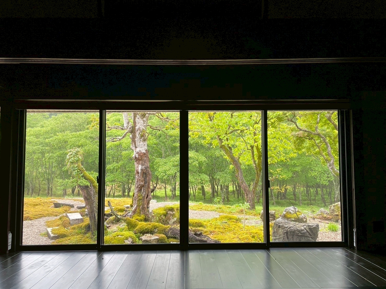 【木叢】緑豊かな景色を独り占め。大きな窓からは四季折々の表情を楽しめます。