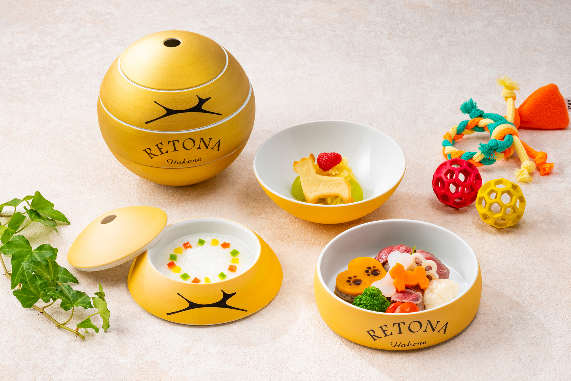 わんちゃん夕食（イメージ）