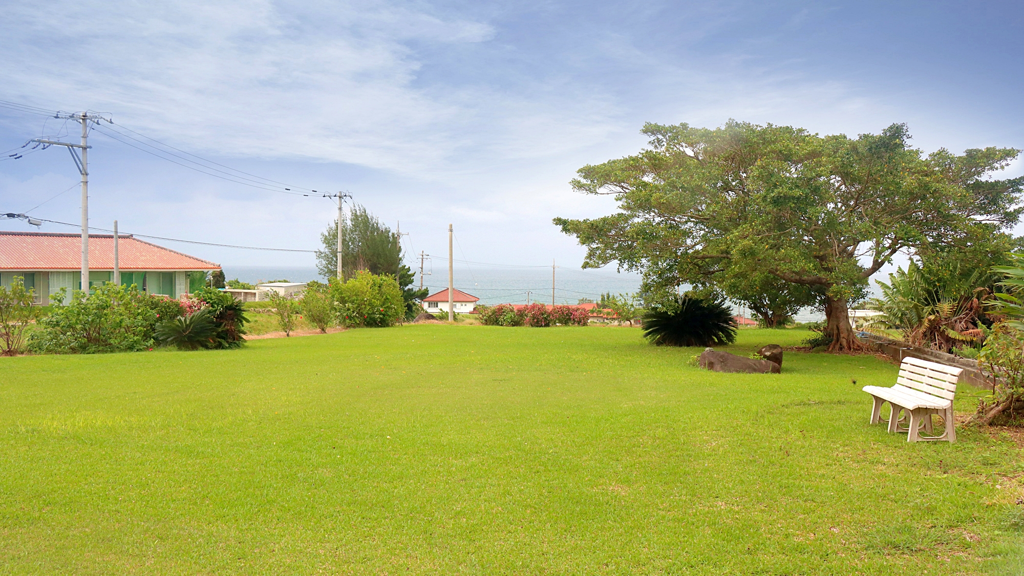 ◆－ガーデン－　時期ごとに、南国ならではの植物を鑑賞いただけます。