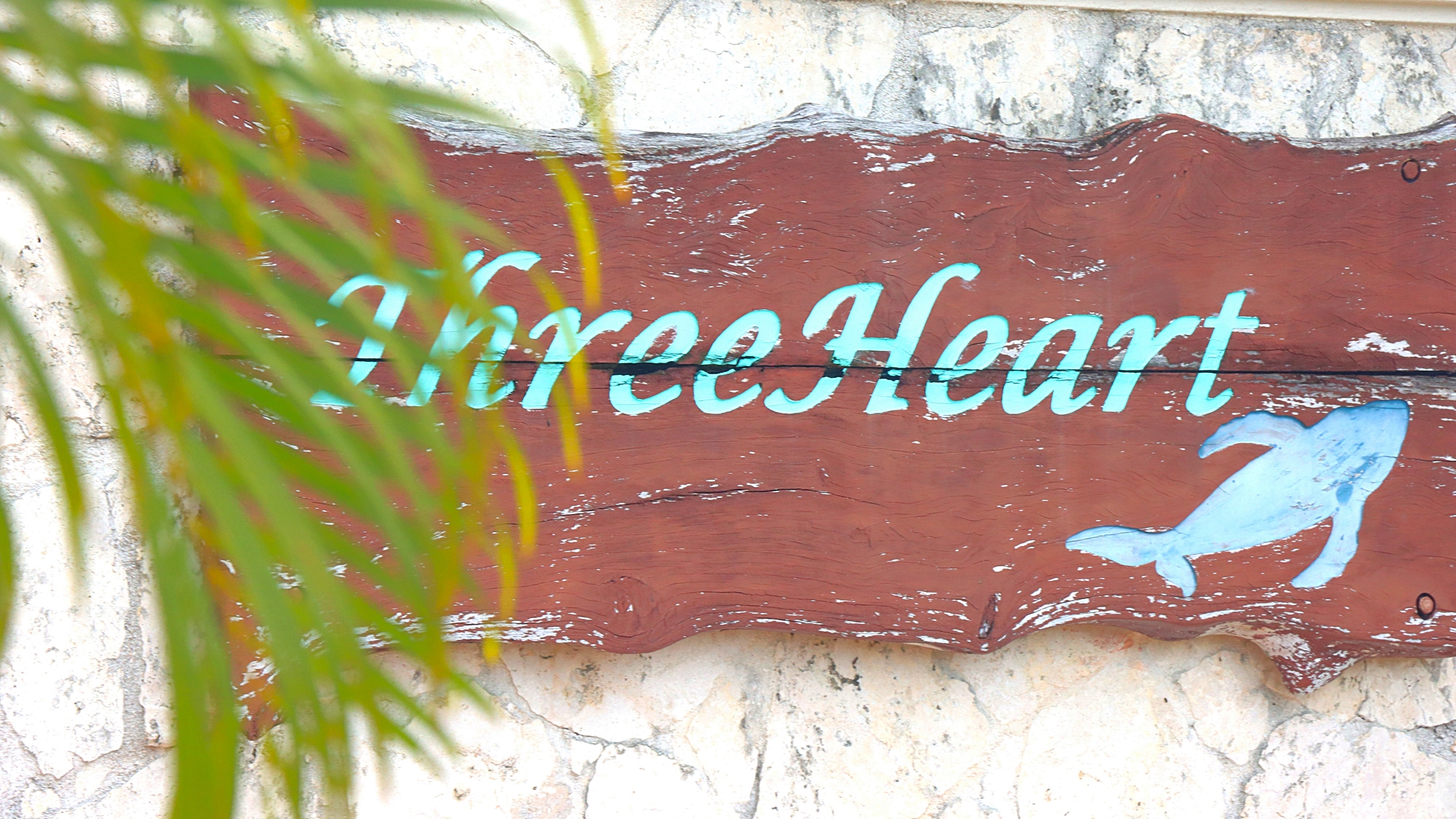 ◆－石垣の海と同じ色の看板－