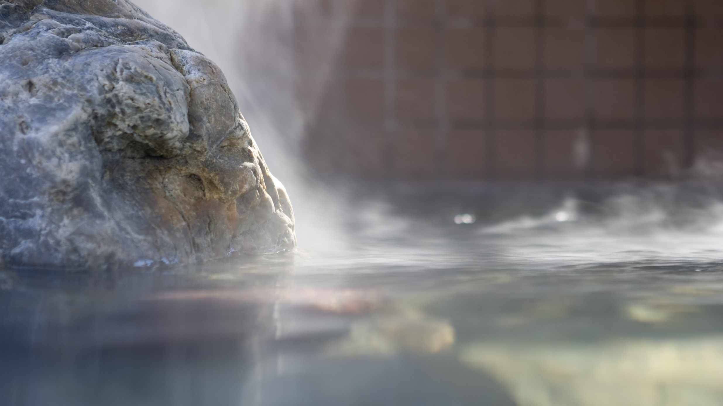 【特製生姜ザンギなど選べる料理は夜9時まで注文OK】当日10時から温泉に入って24時間ステイ