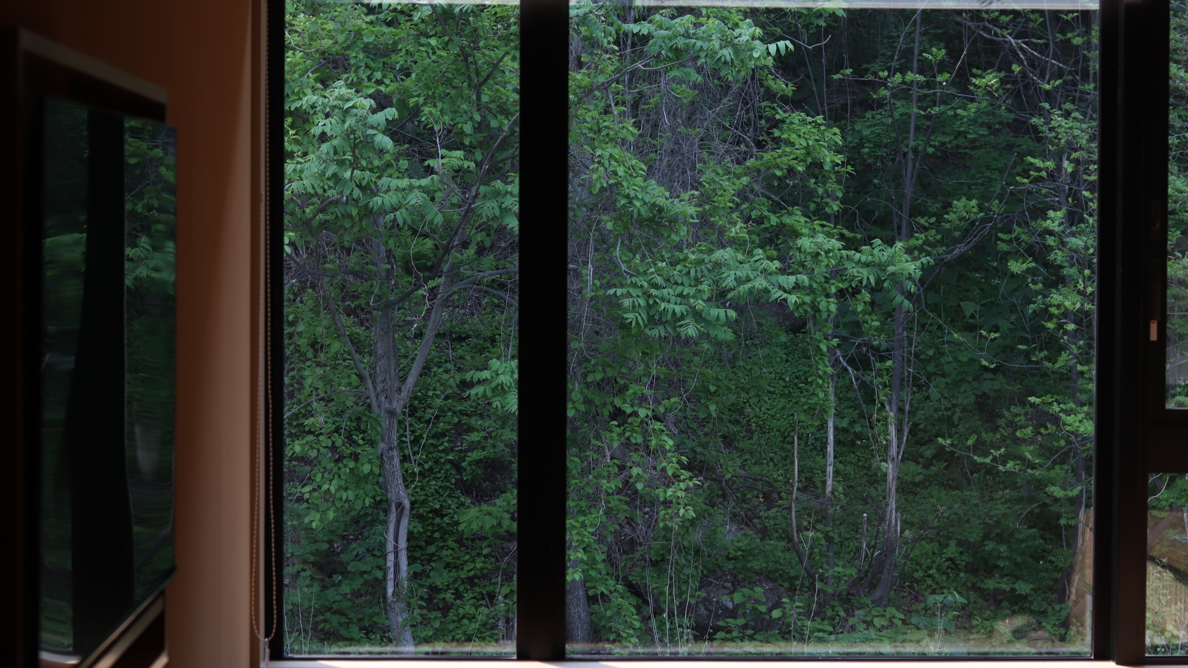 【温泉付洋室】