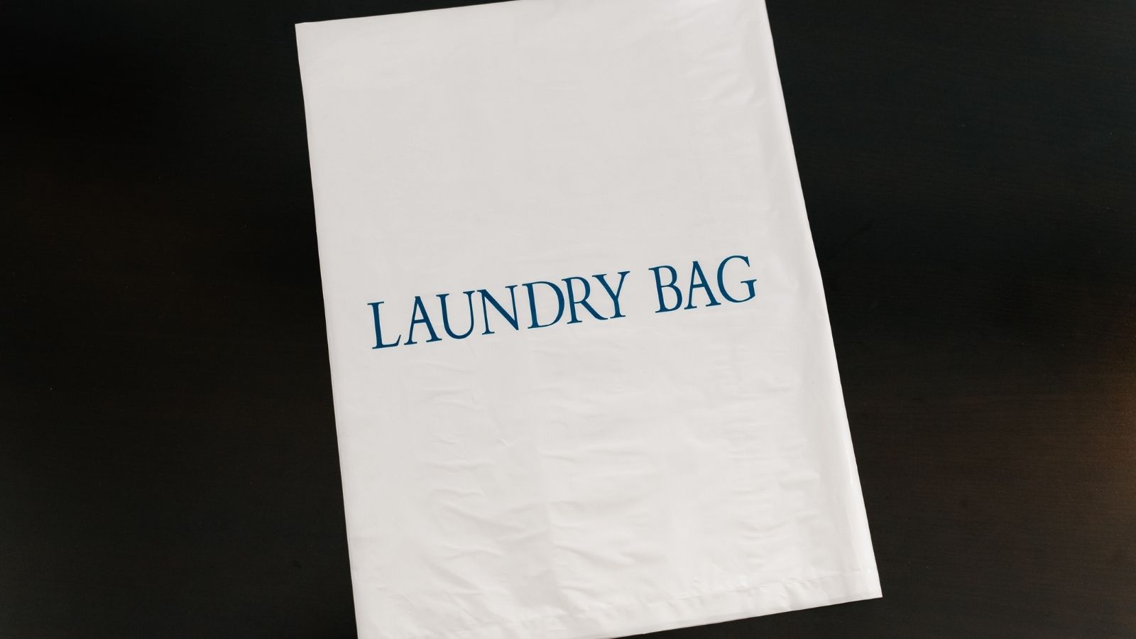 ランドリーバッグ