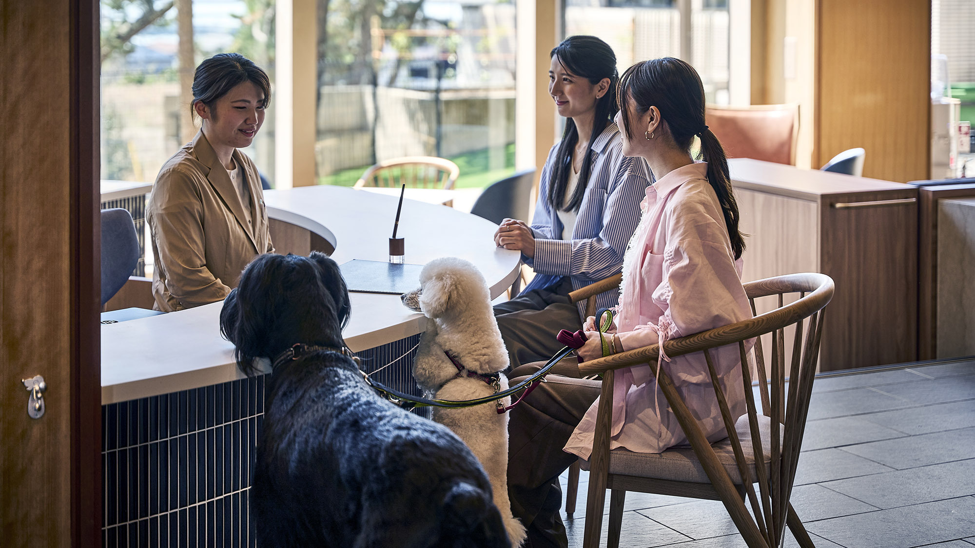 【ドックラン2300㎡】Doggy’s Coast Oaraiとことん楽しむプラン【素泊まり】